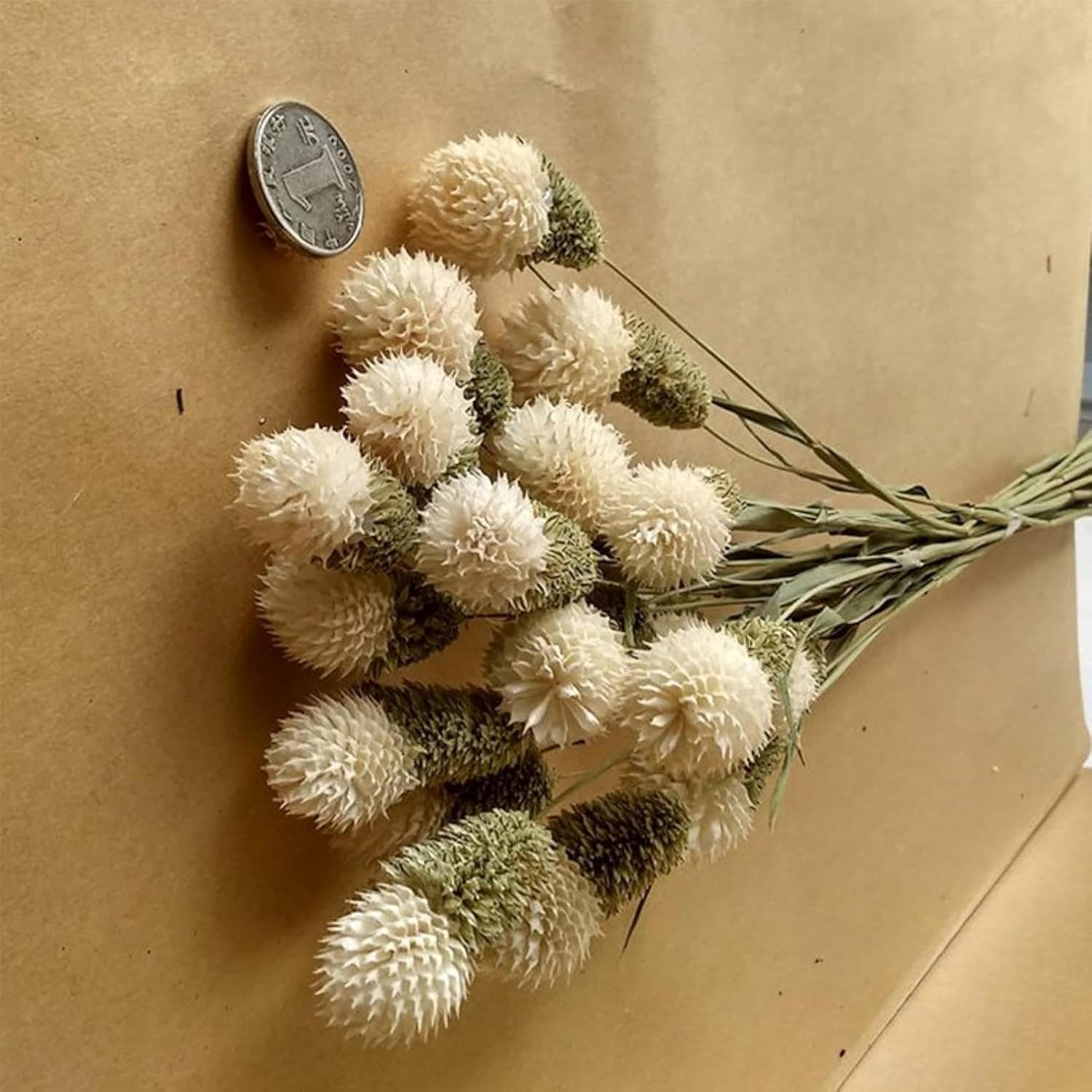 OXCOWNIU Flowers Natural Dried Berries Wedding Bouquet Home Decor