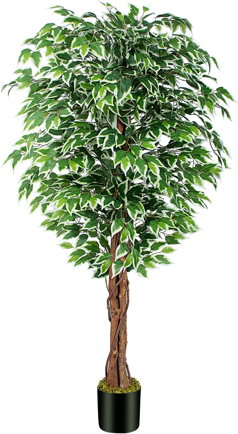 62ft Ficus Artificial Tree with 3 Curved Trunks
