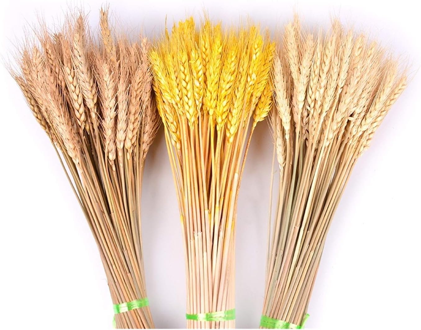 HANRUO Dried Flowers 50Pcs Wedding Decor Craft Prop Set