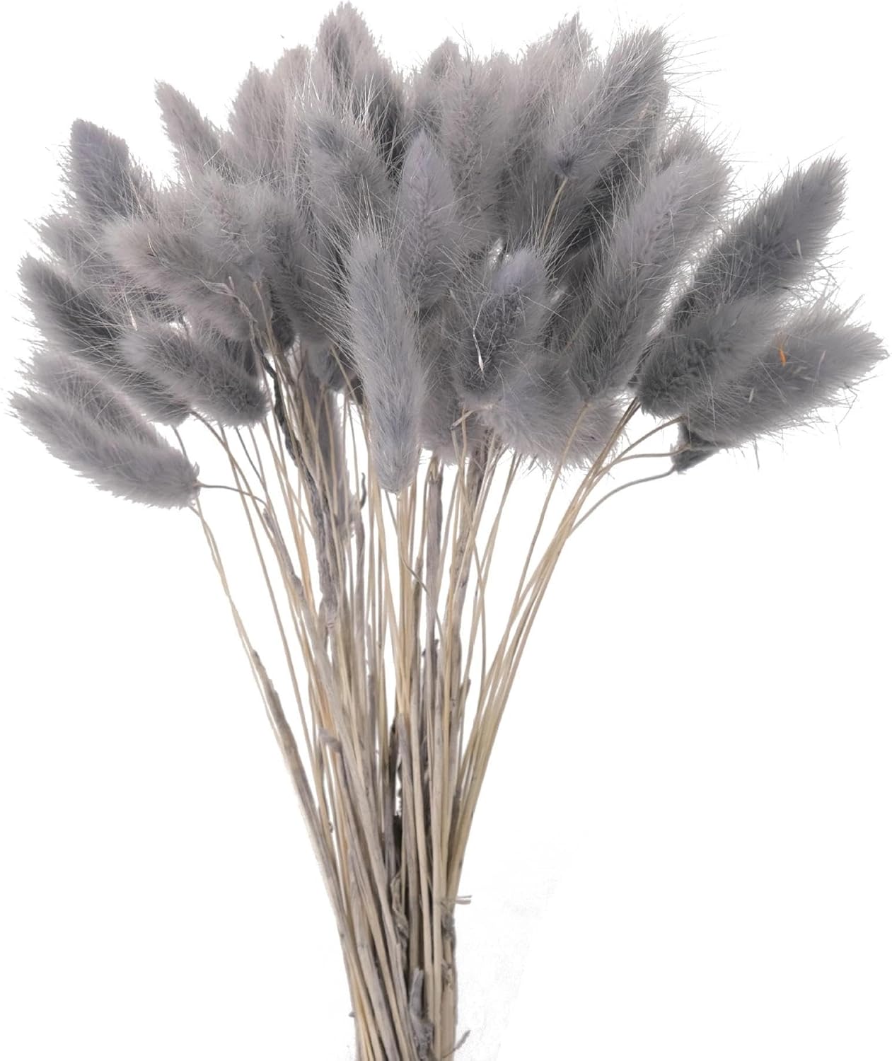 Natural Dried Bunny Tails Flowers 20Pcs Grey 45cm