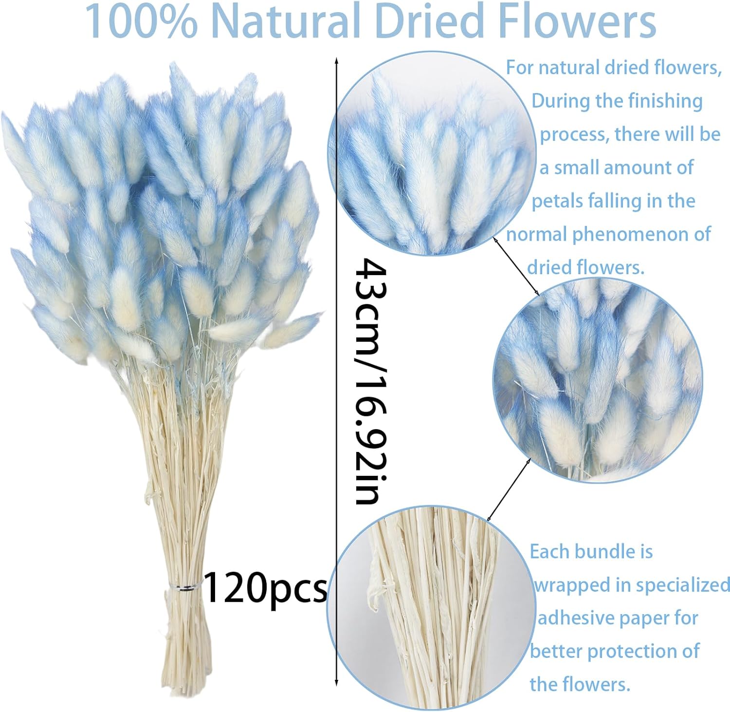 120 Pcs Blue Dried Bunny Tails for Boho Decor