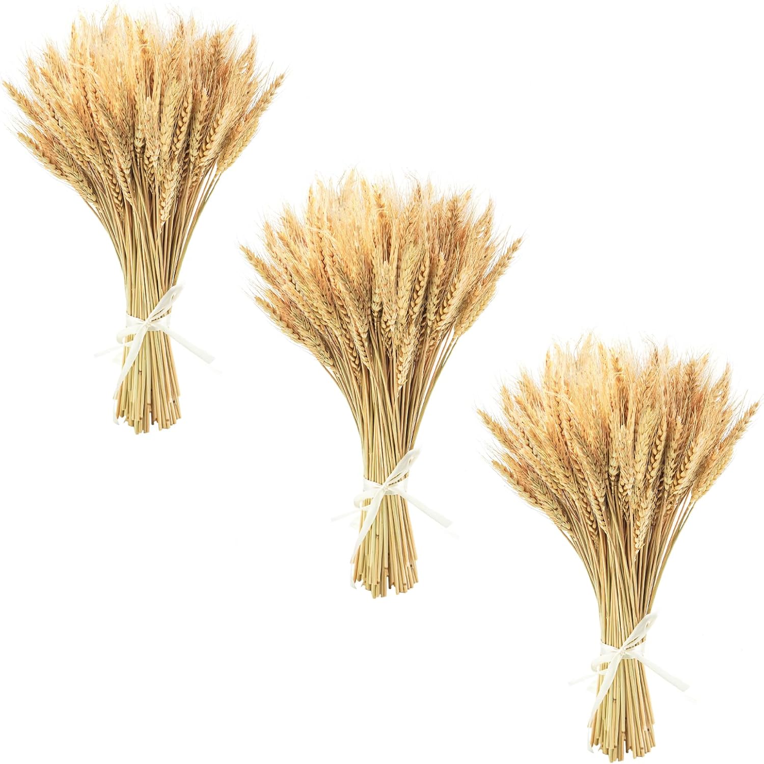 Uieke 177 Inch Dried Wheat Stalks for Fall Decor