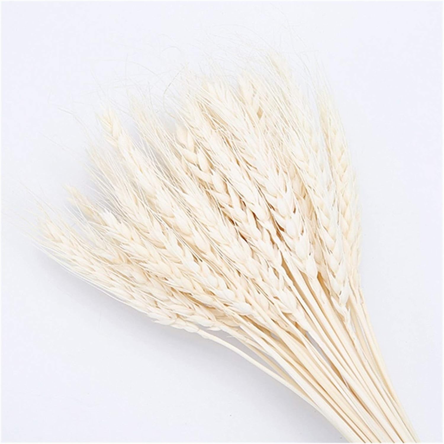HANRUO Dried Flowers 50Pcs Wedding Decor Craft Prop Set