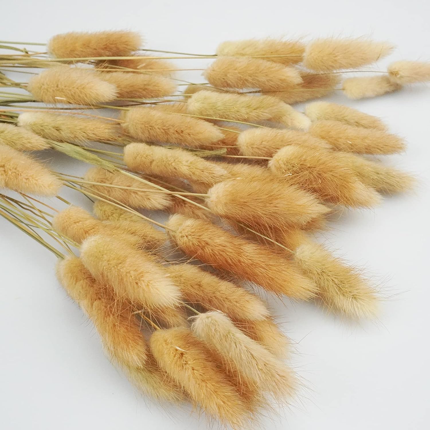 Uieke 17 Inch Natural Bunny Tails Dried Flowers 120 Pcs
