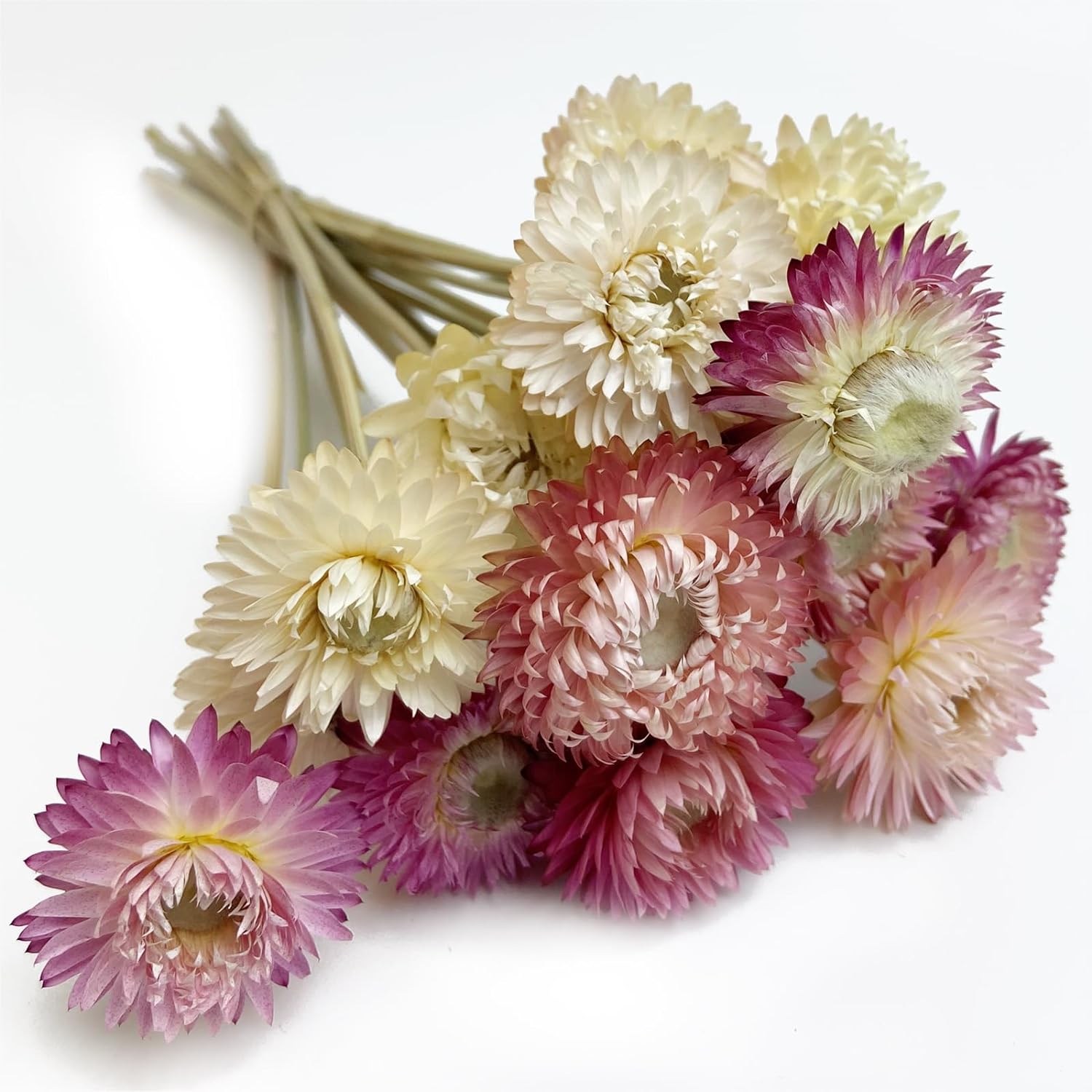 LBREVOGA Dried Flower Bouquets 16 Piece Pink White