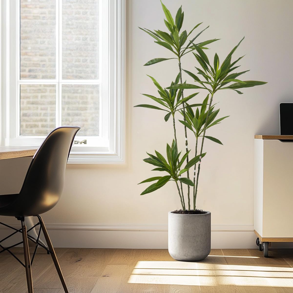 Artificial Cordyline Plant 6 Ft Tall with Pot