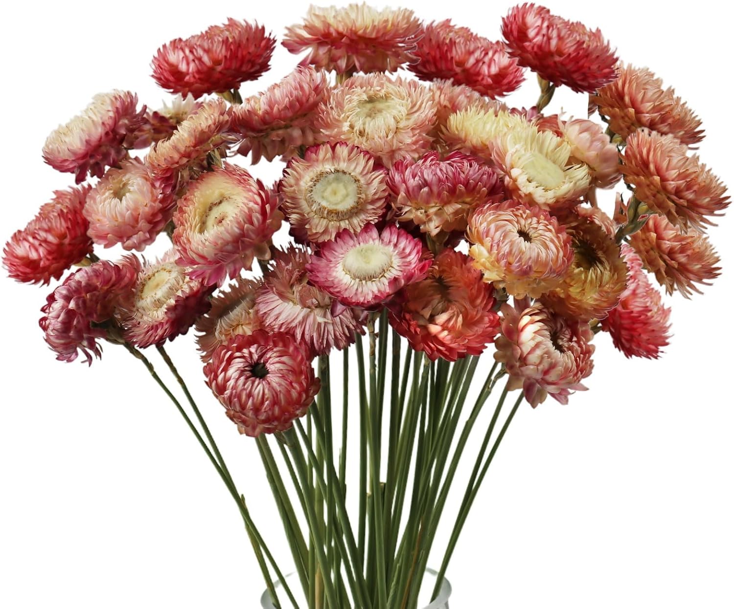 MIHUAGE Dried Flower Bouquet 40PCS Light Purple Chrysanthemum
