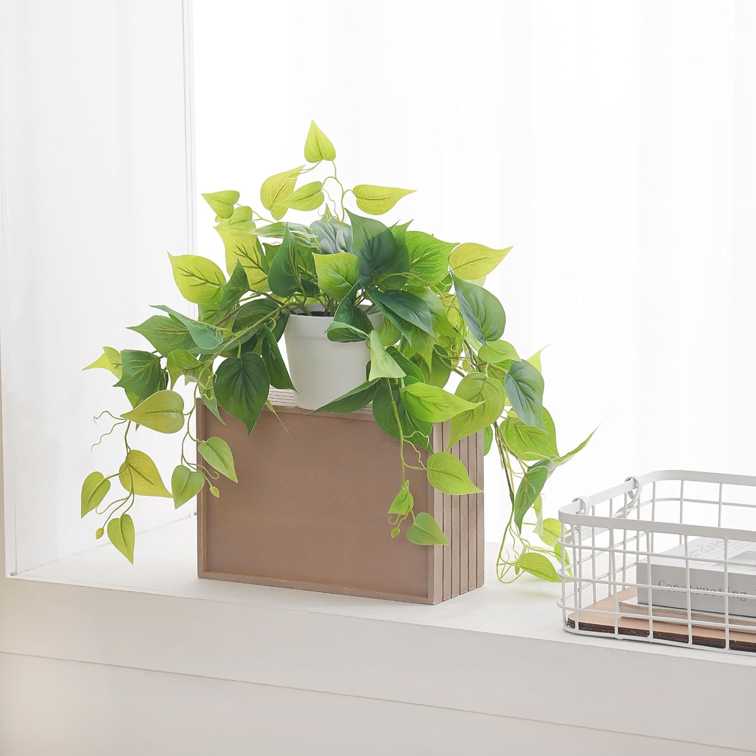 Tiita 1 Pack Artificial Scindapsus Aureus with Pot