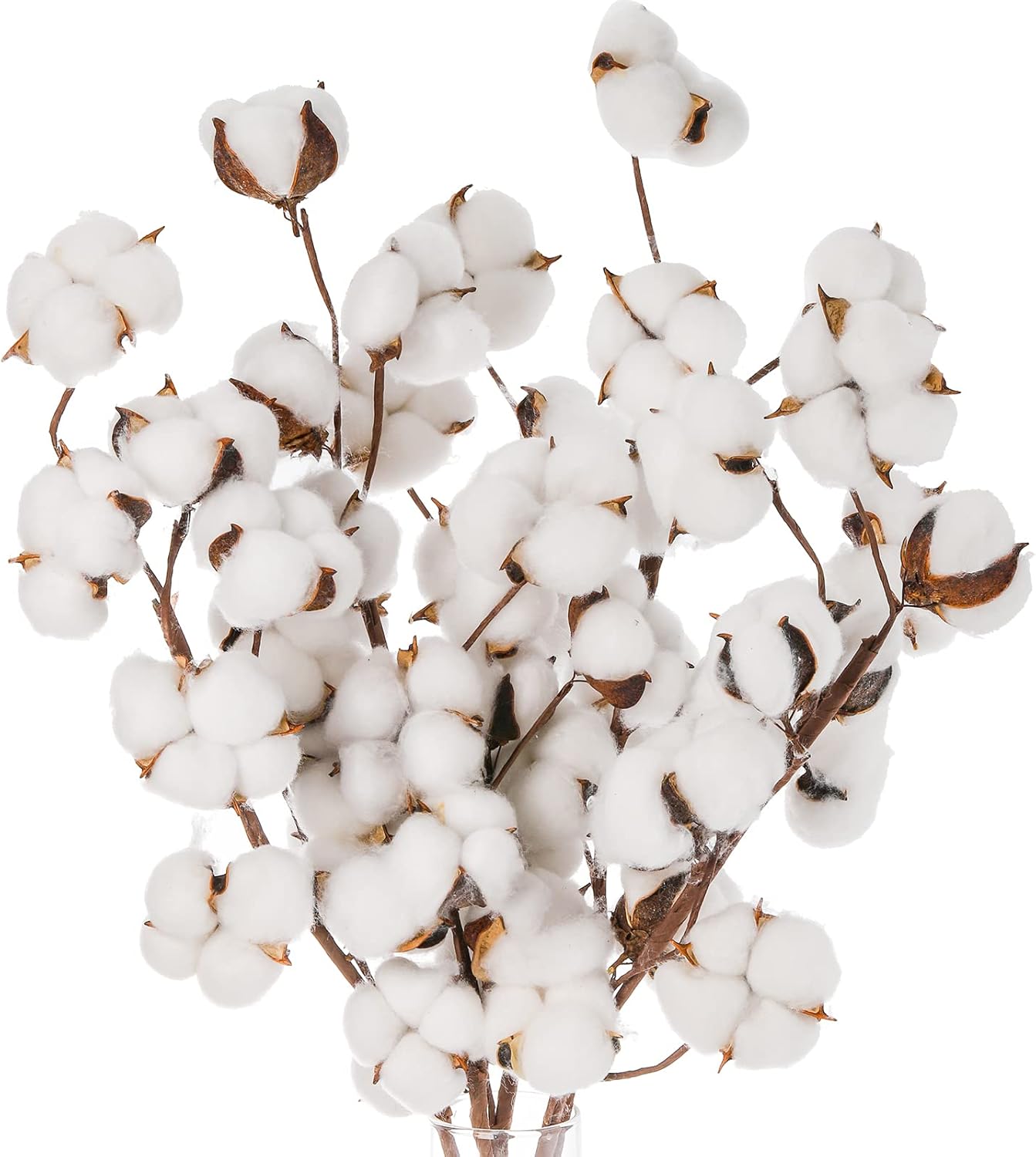 Cedilis 5 Pack Cotton Stems for Farmhouse Decor