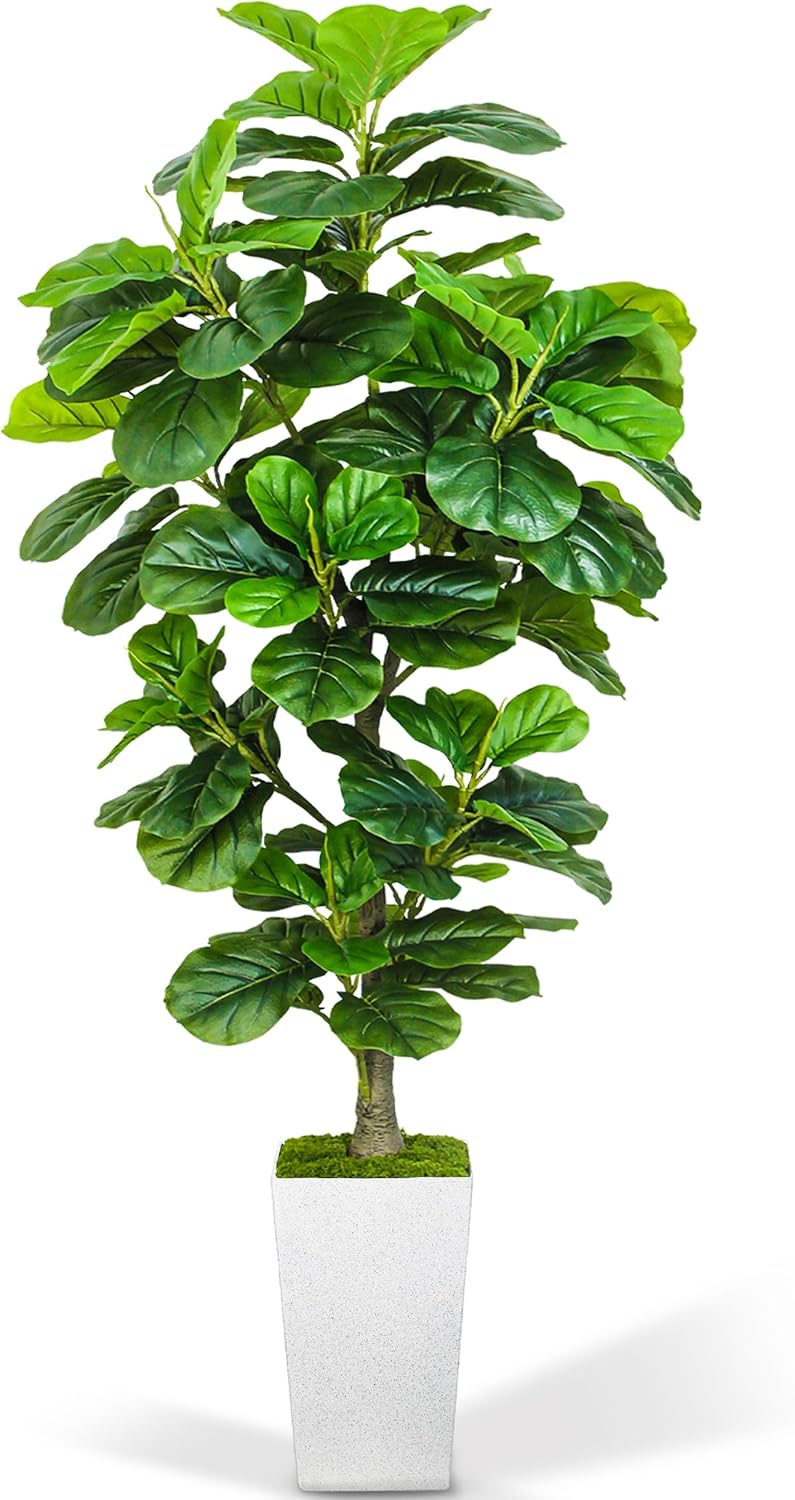 Artificial Fiddle Leaf Fig Tree 6ft with White Planter
