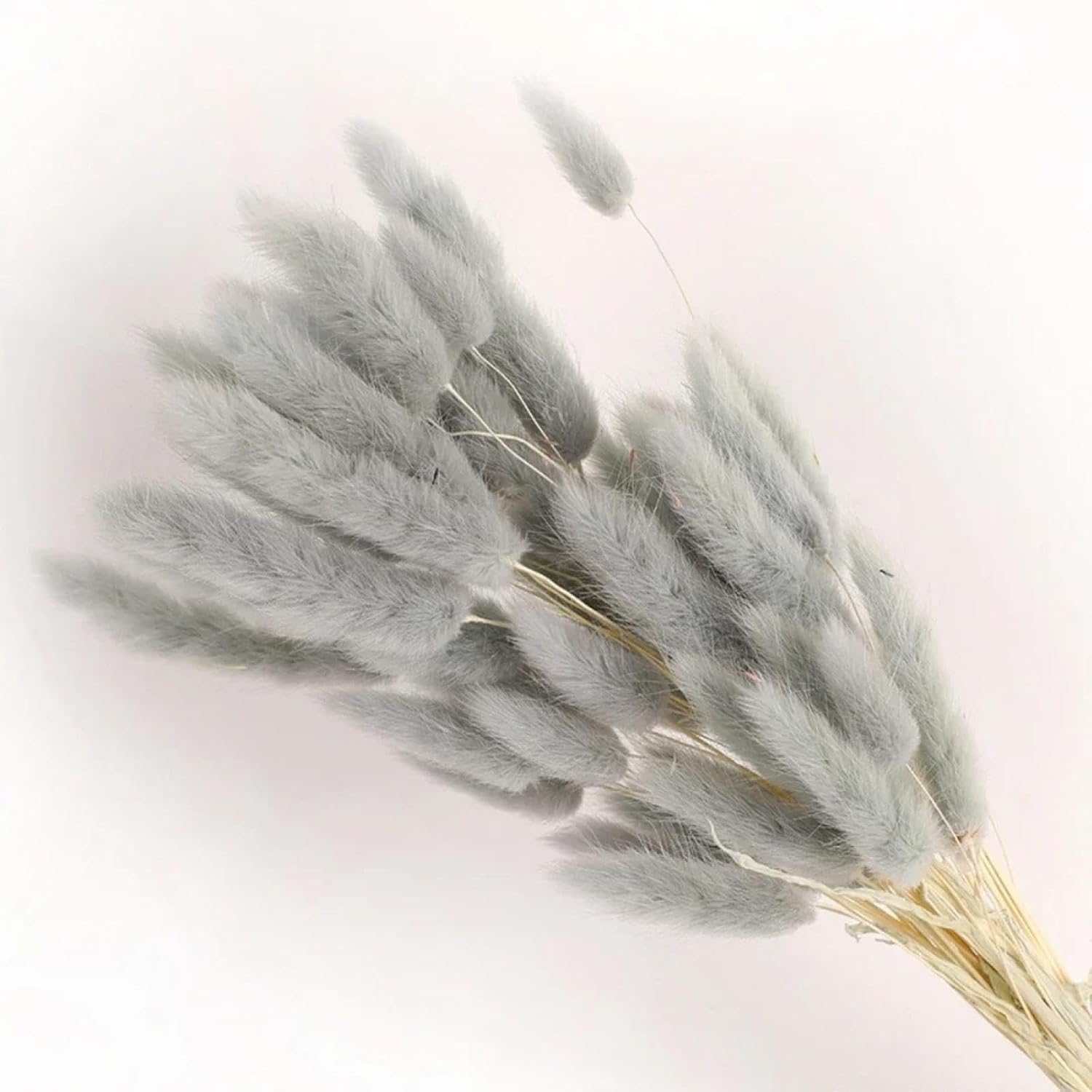 100Pcs Dried Bunny Rabbit Tail Grass Wedding Decor Bouquet