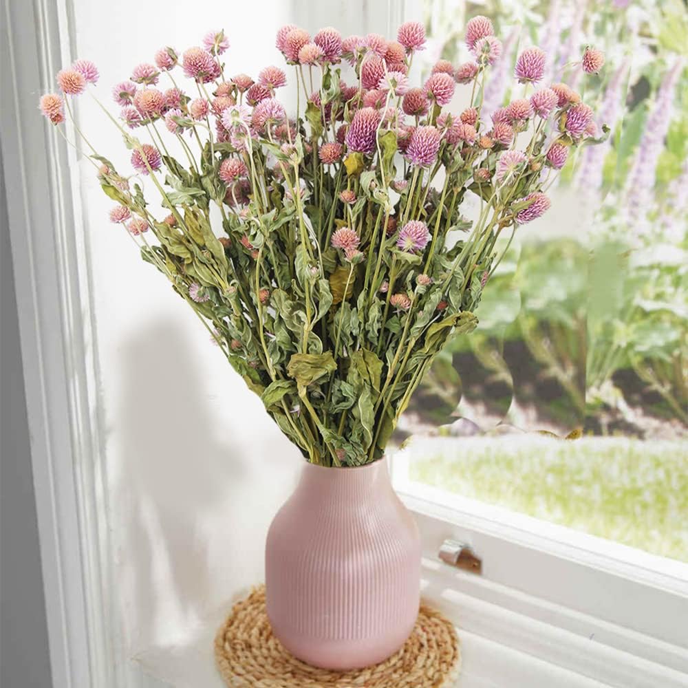 JOJAZE Dried Flower Bouquet Pink Globe Amaranth Natural Wedding Decor