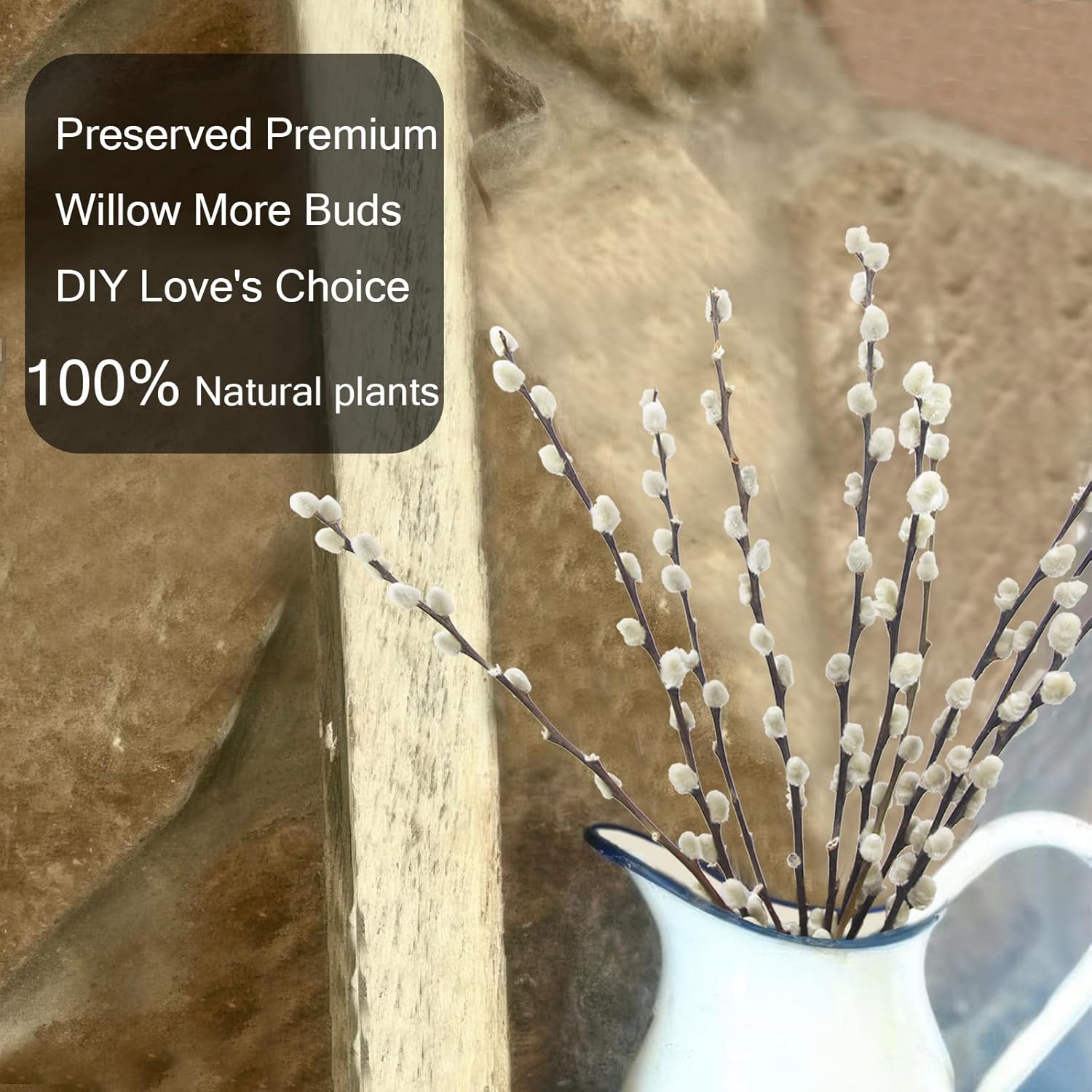 10 Pcs Real Pussy Willow Branches for Vases Decor