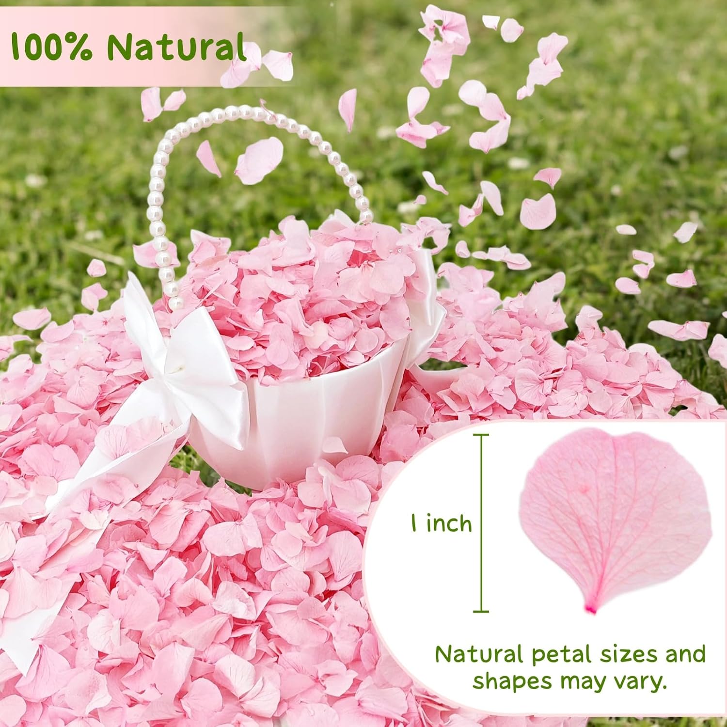 1500Pcs Real Hydrangea Pink Dried Flower Petals