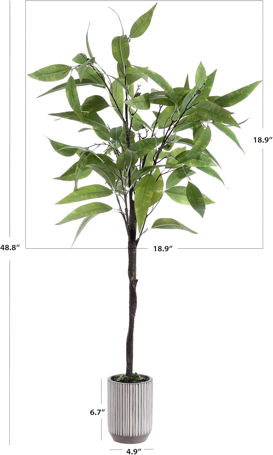 SAFAVIEH 50 Inch Artificial Eucalyptus Tree with Cement Pot