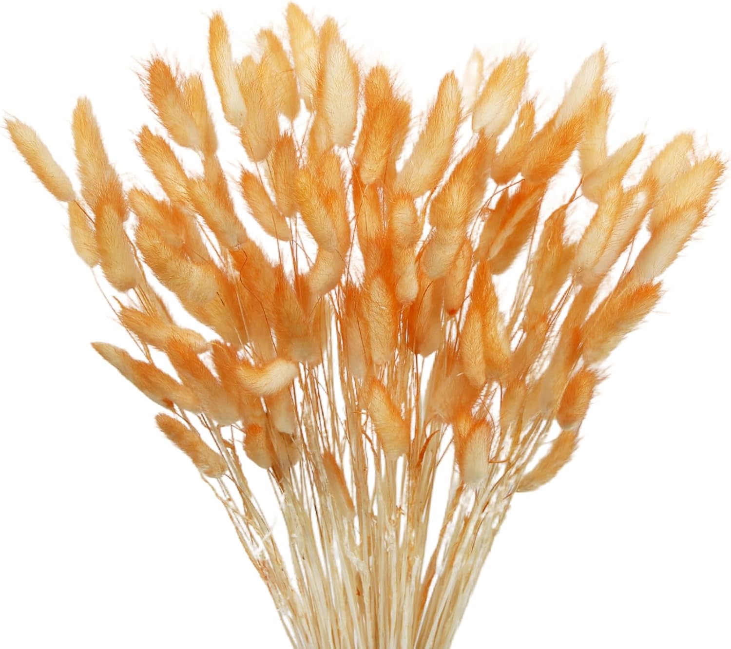 120 Pcs Dark Orange Dried Lagurus Ovatus Flowers