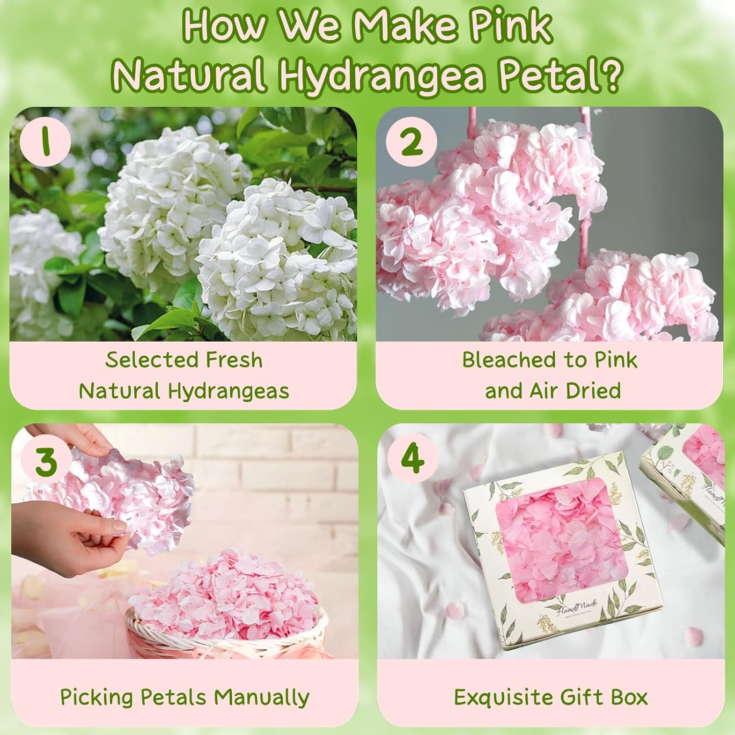 1500Pcs Real Hydrangea Pink Dried Flower Petals