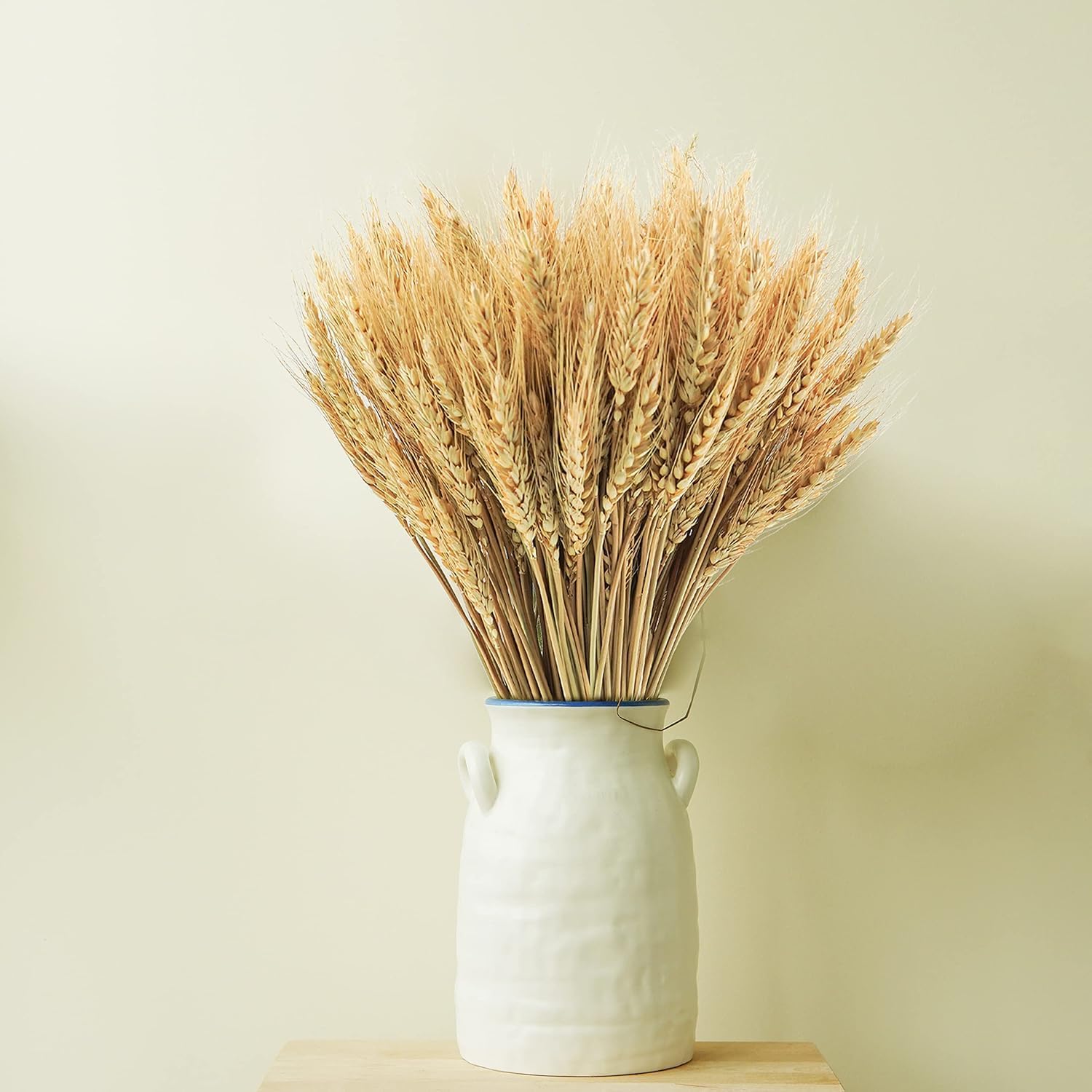 300 Stems Natural Dried Wheat Stalks 18 Inch Bundle