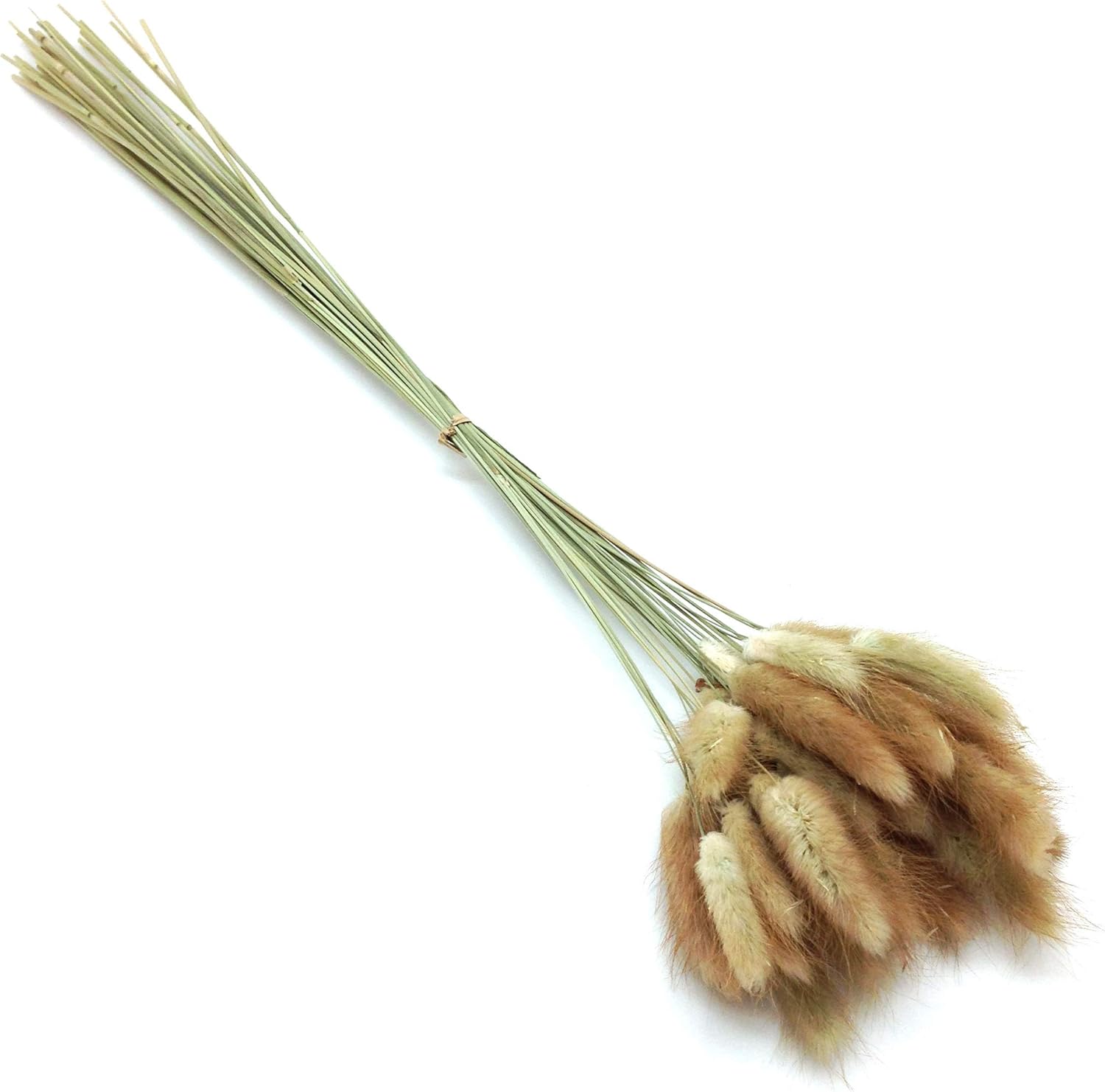 PEPPERLONELY 30pc Natural Dried Flower Rabbit Tail Grass Bouquets