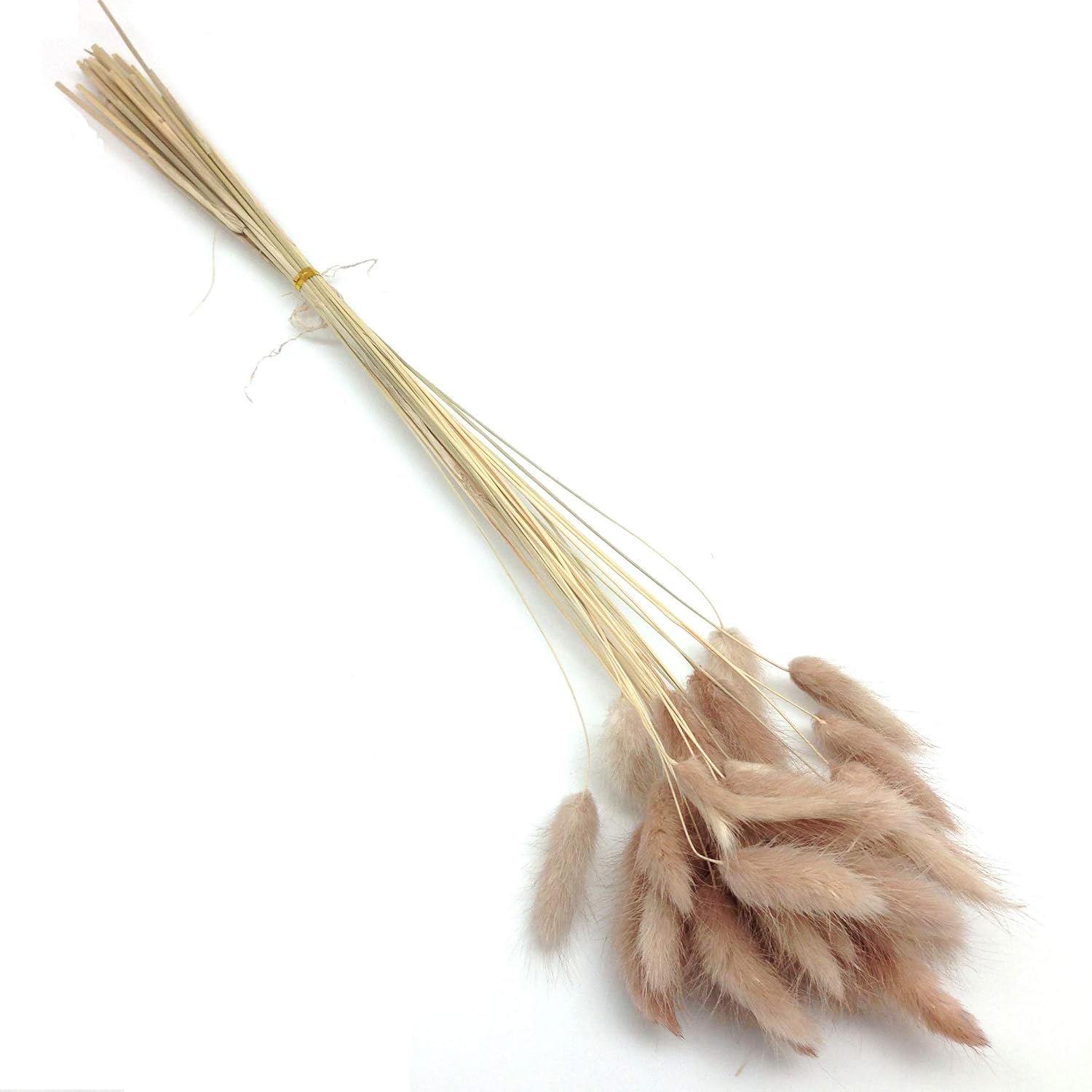 PEPPERLONELY 30pc Natural Dried Flower Rabbit Tail Grass Bouquets