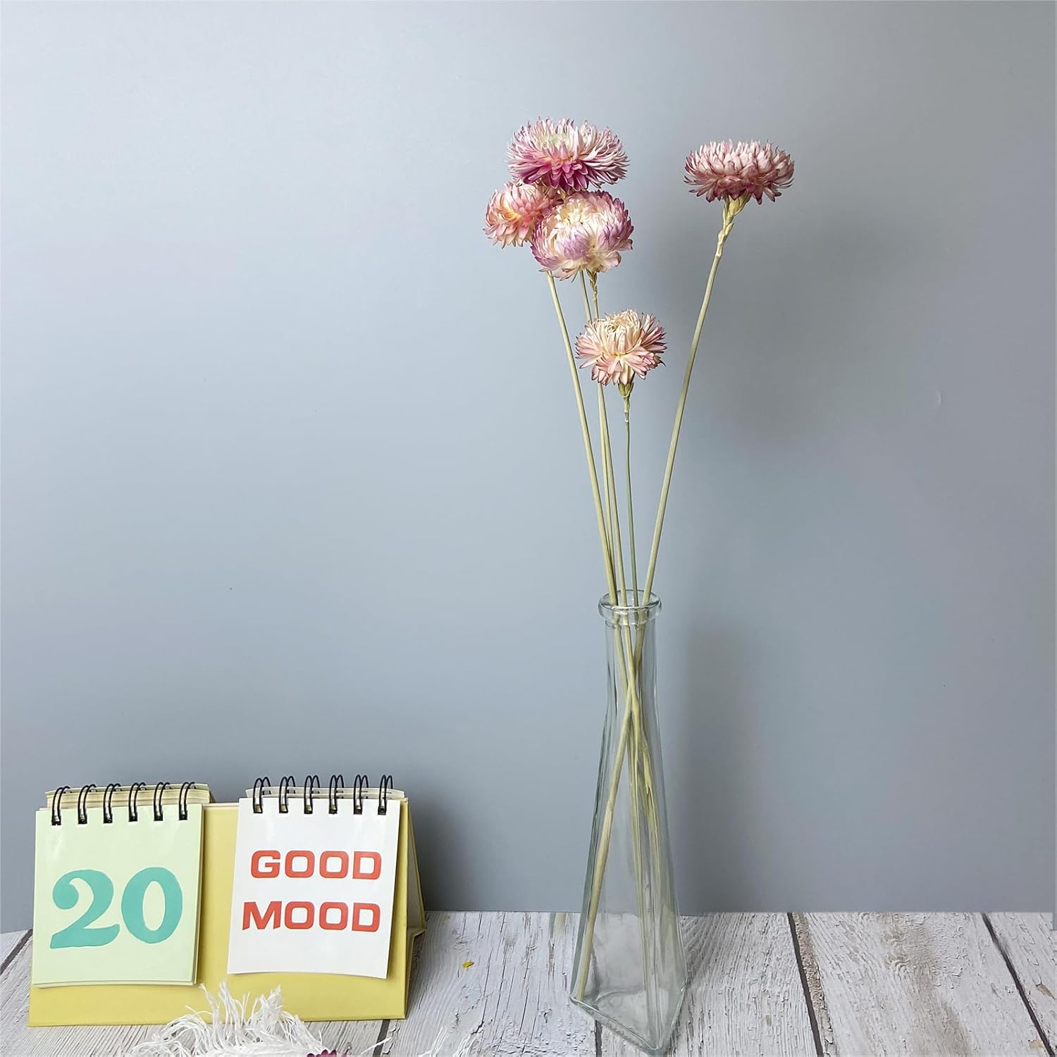 100 Natural Daisy Flowers Bouquets 30Pcs Pink Daisies Chrysanthemums