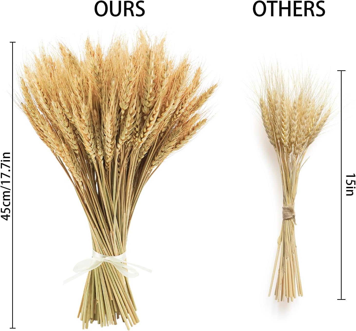 300 Stems Natural Dried Wheat Stalks 18 Inch Bundle