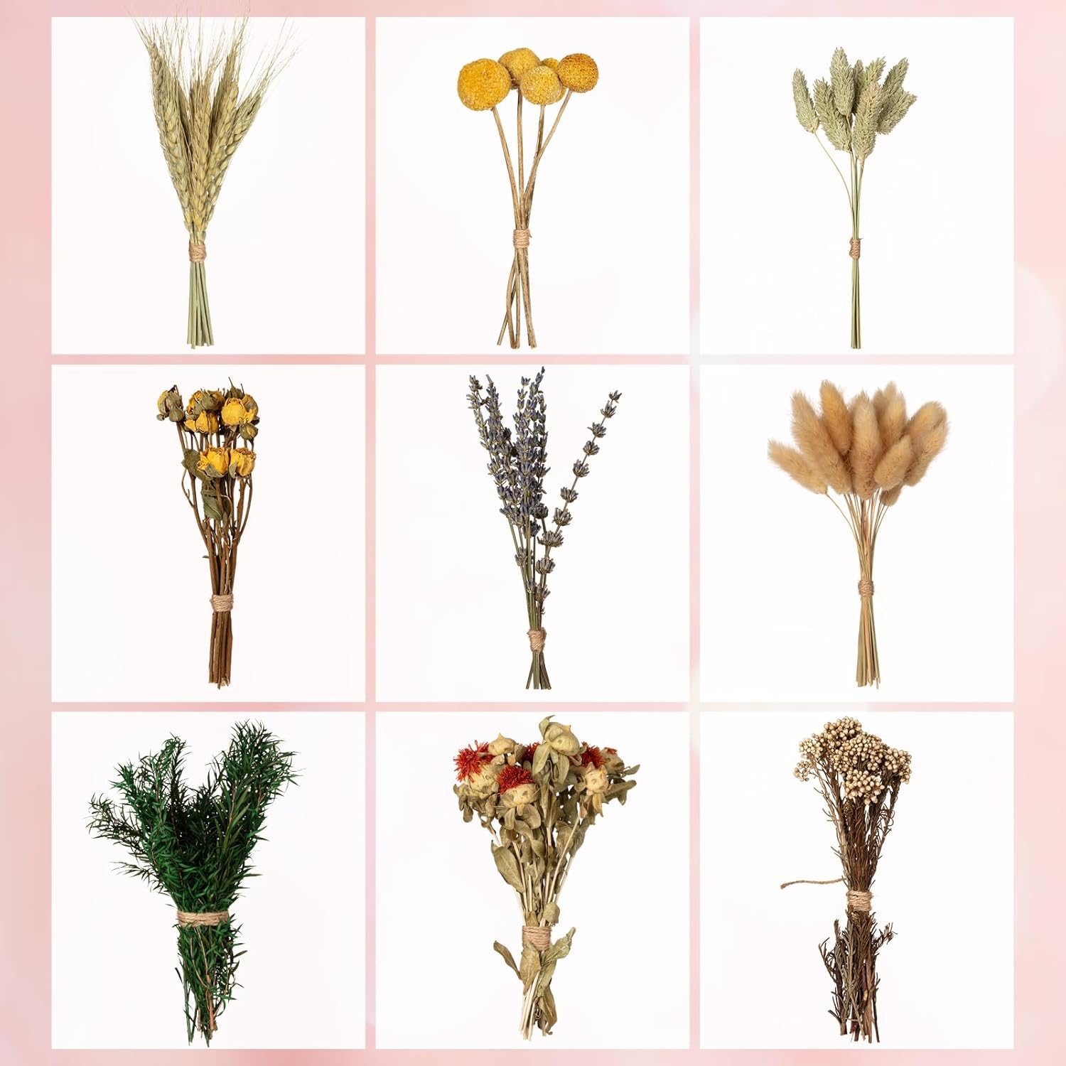 Natural Dried Flower Bouquets for Vase and Decor