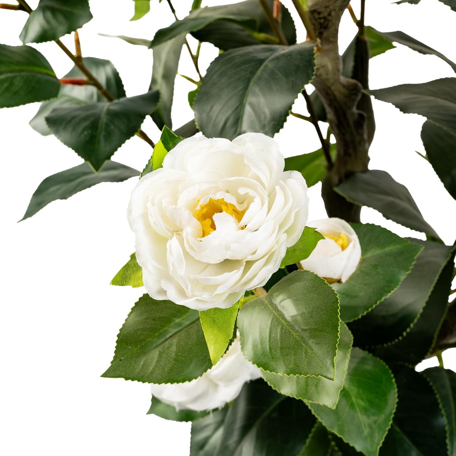 Artificial Camellia Tree 2 Pack White 2FT Cement Pot Decor