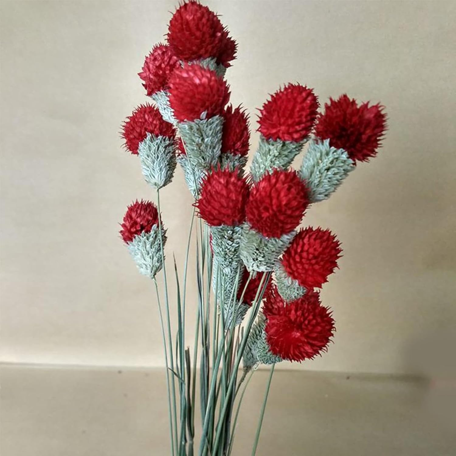 OXCOWNIU Flowers Natural Dried Berries Wedding Bouquet Home Decor