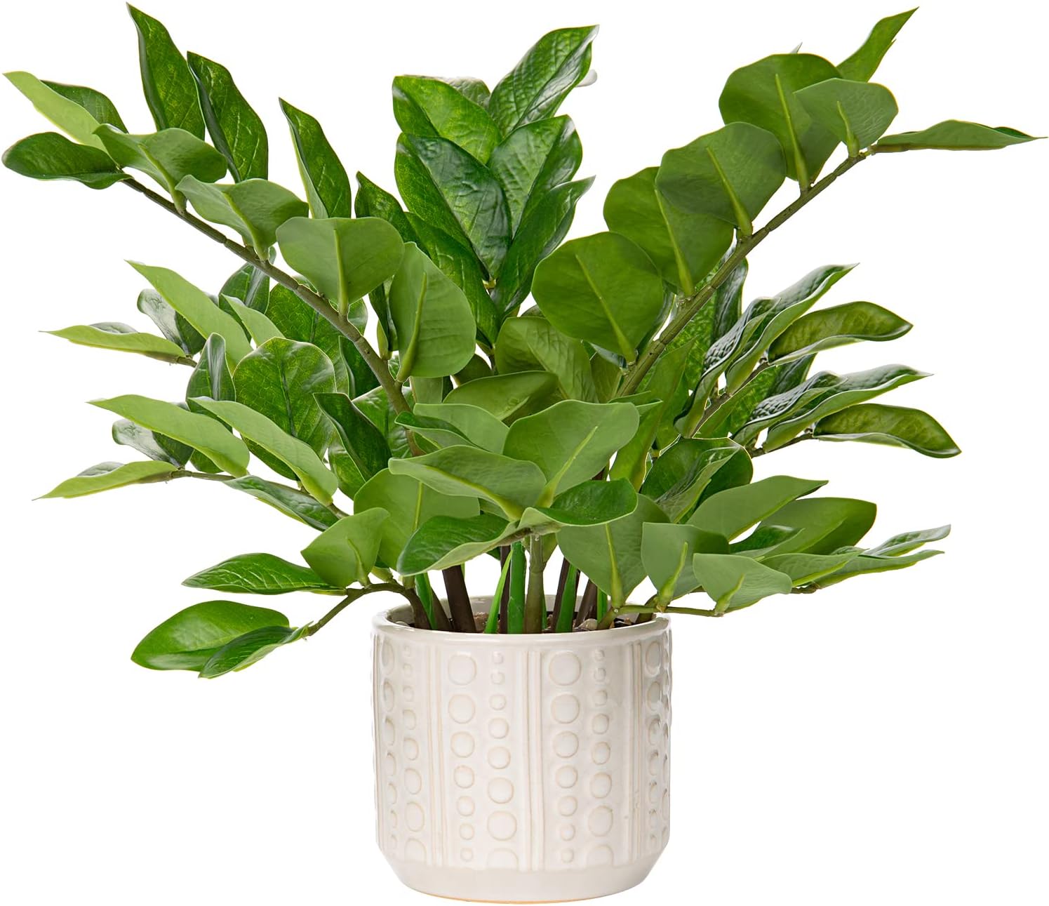 Briful 17 Inch Artificial ZZ Plant in Ceramic Pot