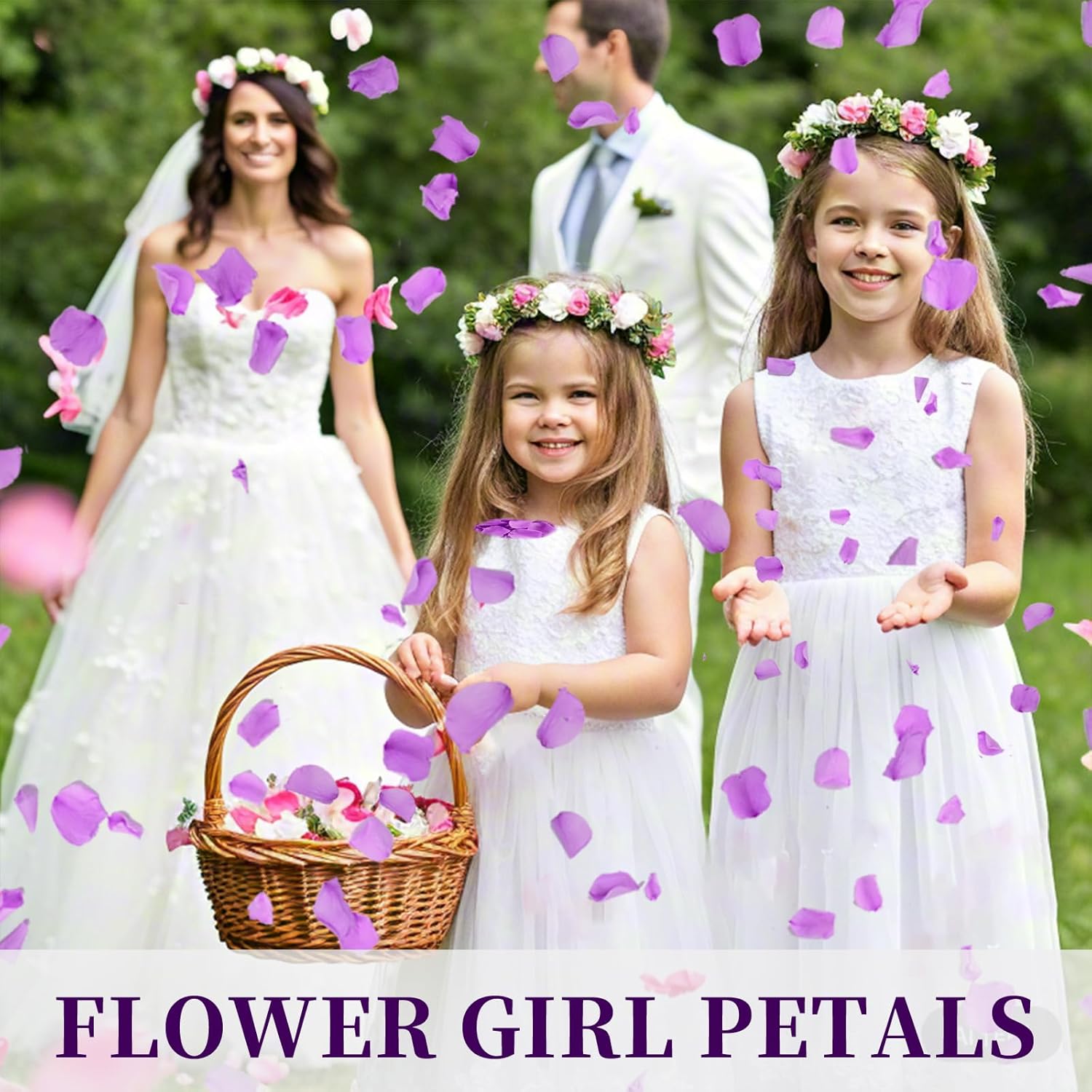180 PCS Real Purple Rose Petals Wedding Decor