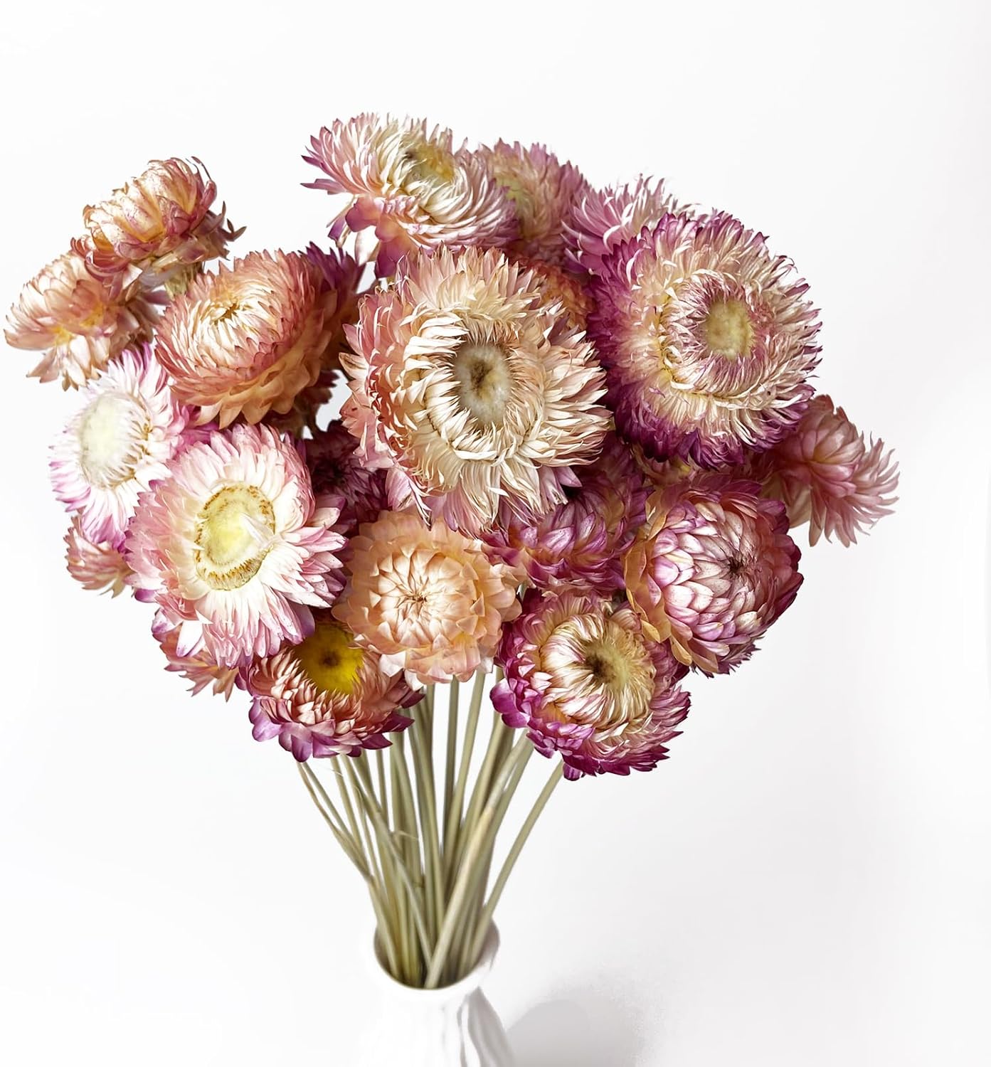 100 Natural Daisy Flowers Bouquets 30Pcs Pink Daisies Chrysanthemums