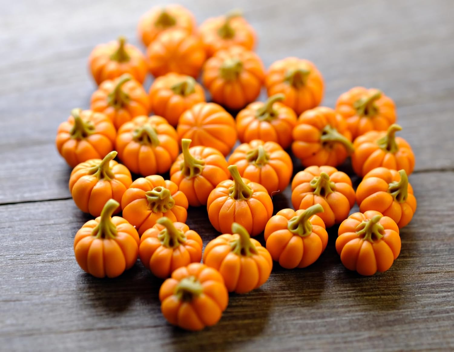 20 Mini Pumpkins Vegetable Garden Display Minimal Decor