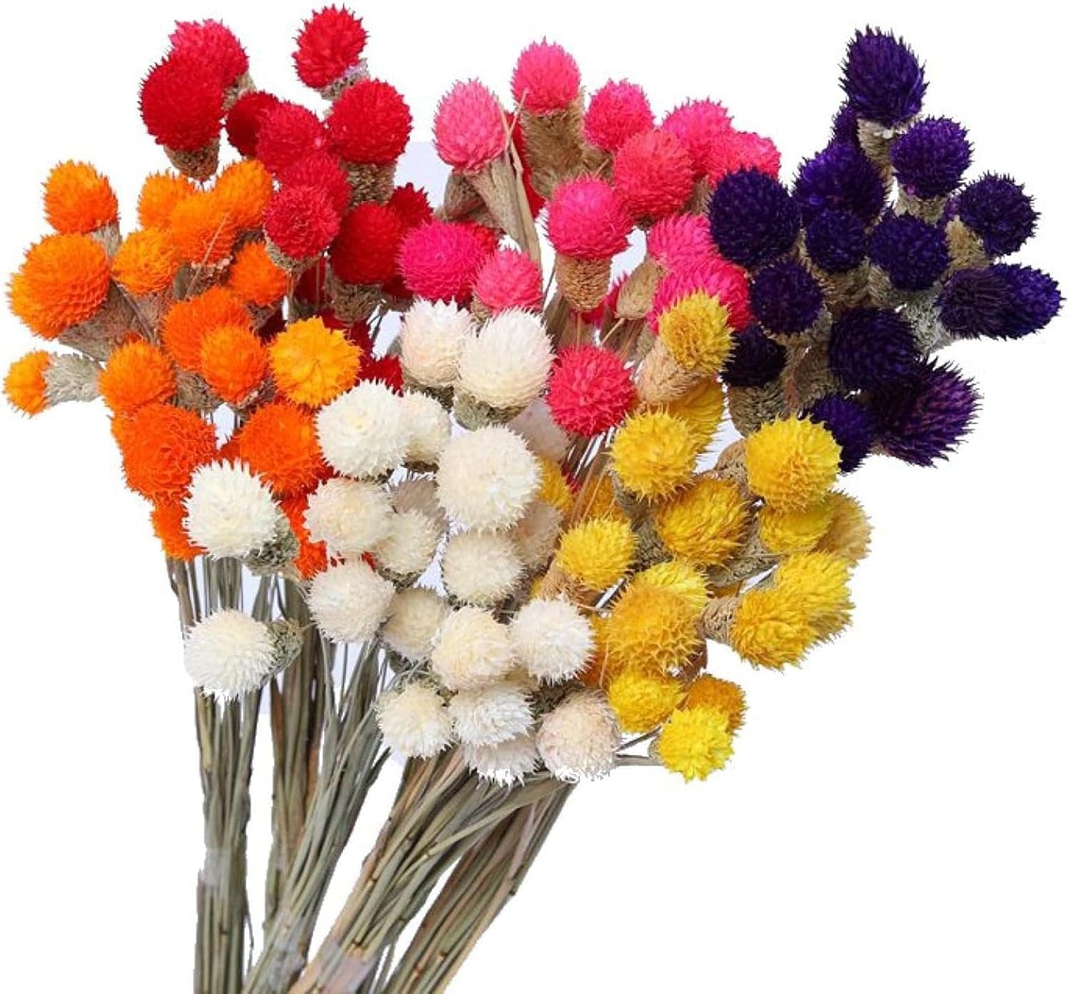 OXCOWNIU Flowers Natural Dried Berries Wedding Bouquet Home Decor