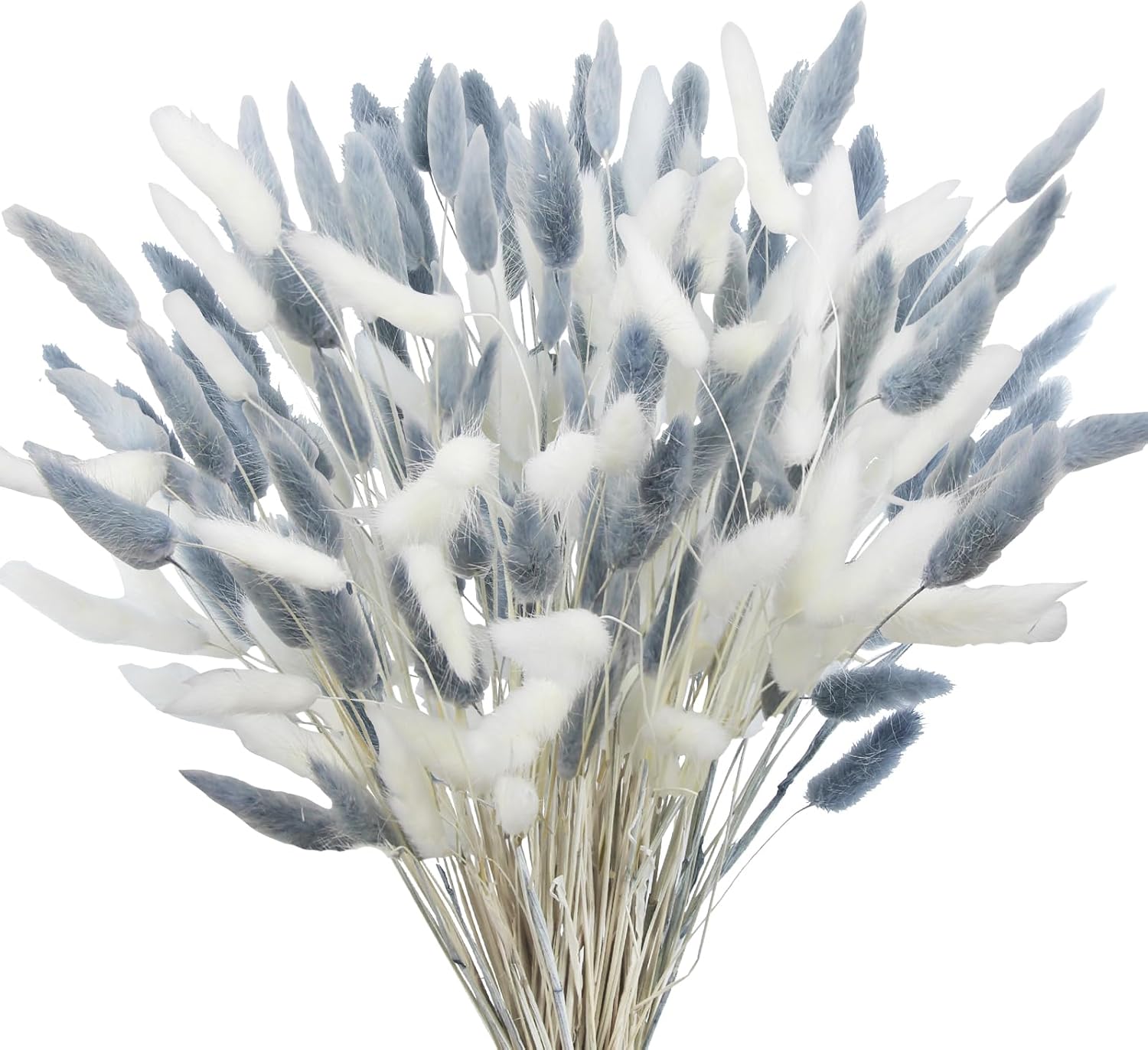 120Pcs Dried Bunny Tails Gray White Pampas Grass Boho Decor
