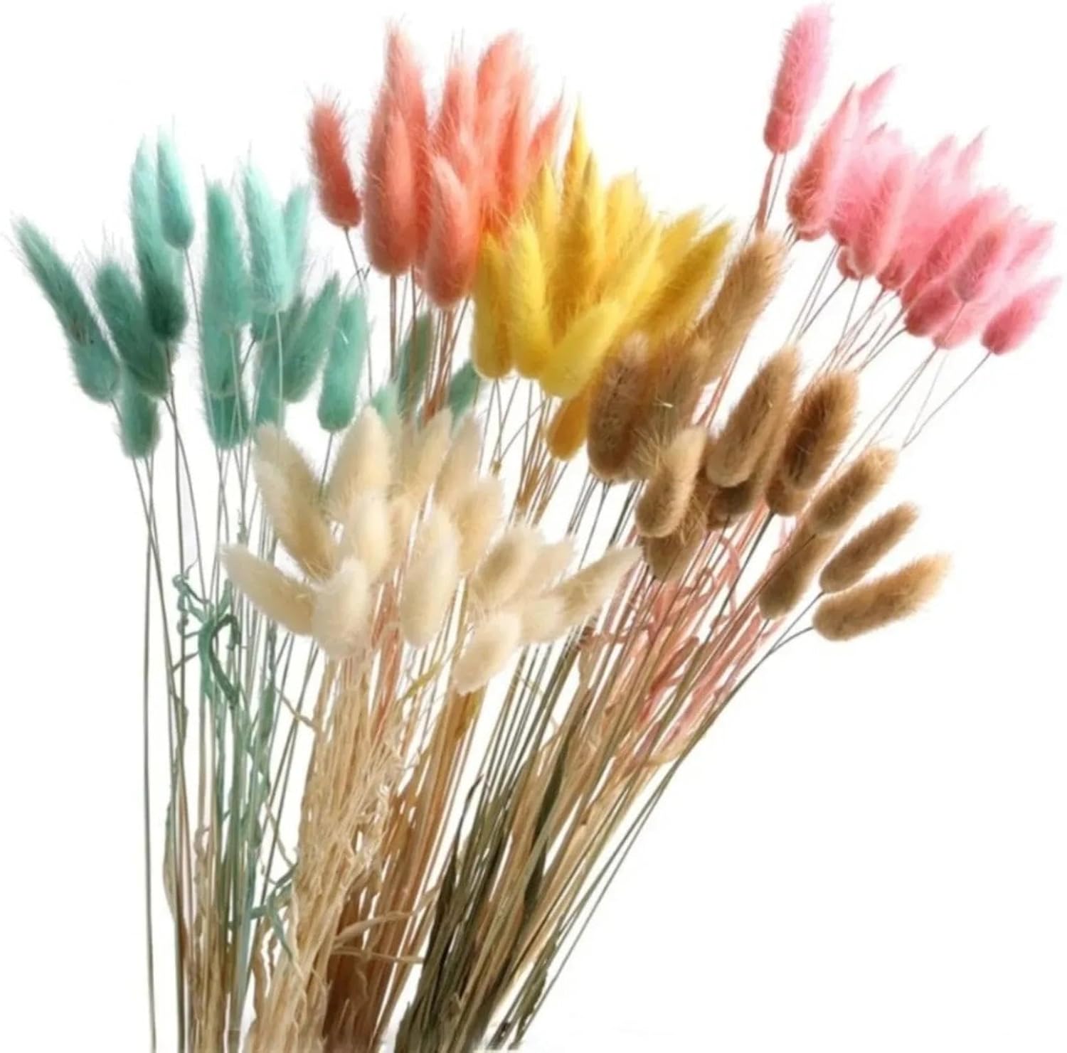 Natural Dried Bunny Tails Flowers 20Pcs Grey 45cm