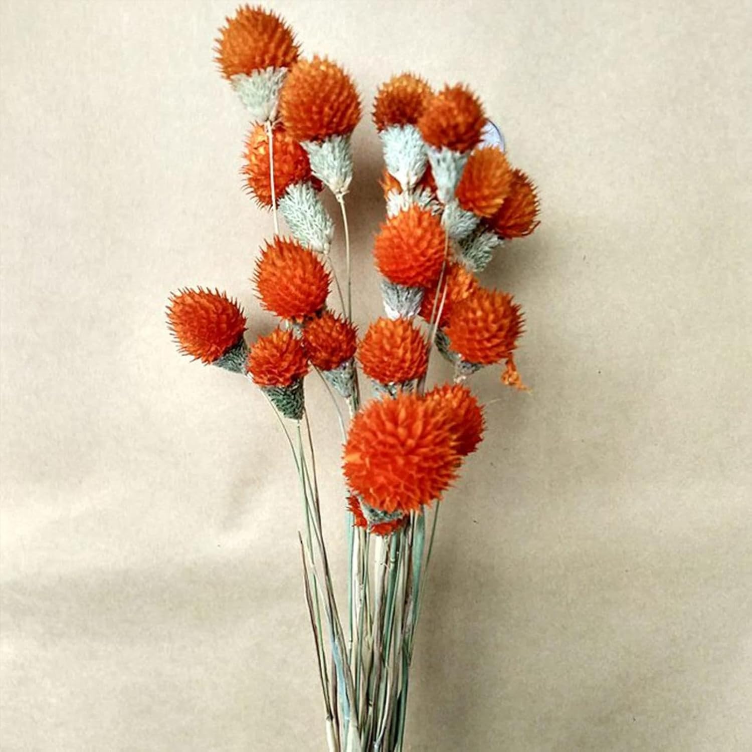 OXCOWNIU Flowers Natural Dried Berries Wedding Bouquet Home Decor