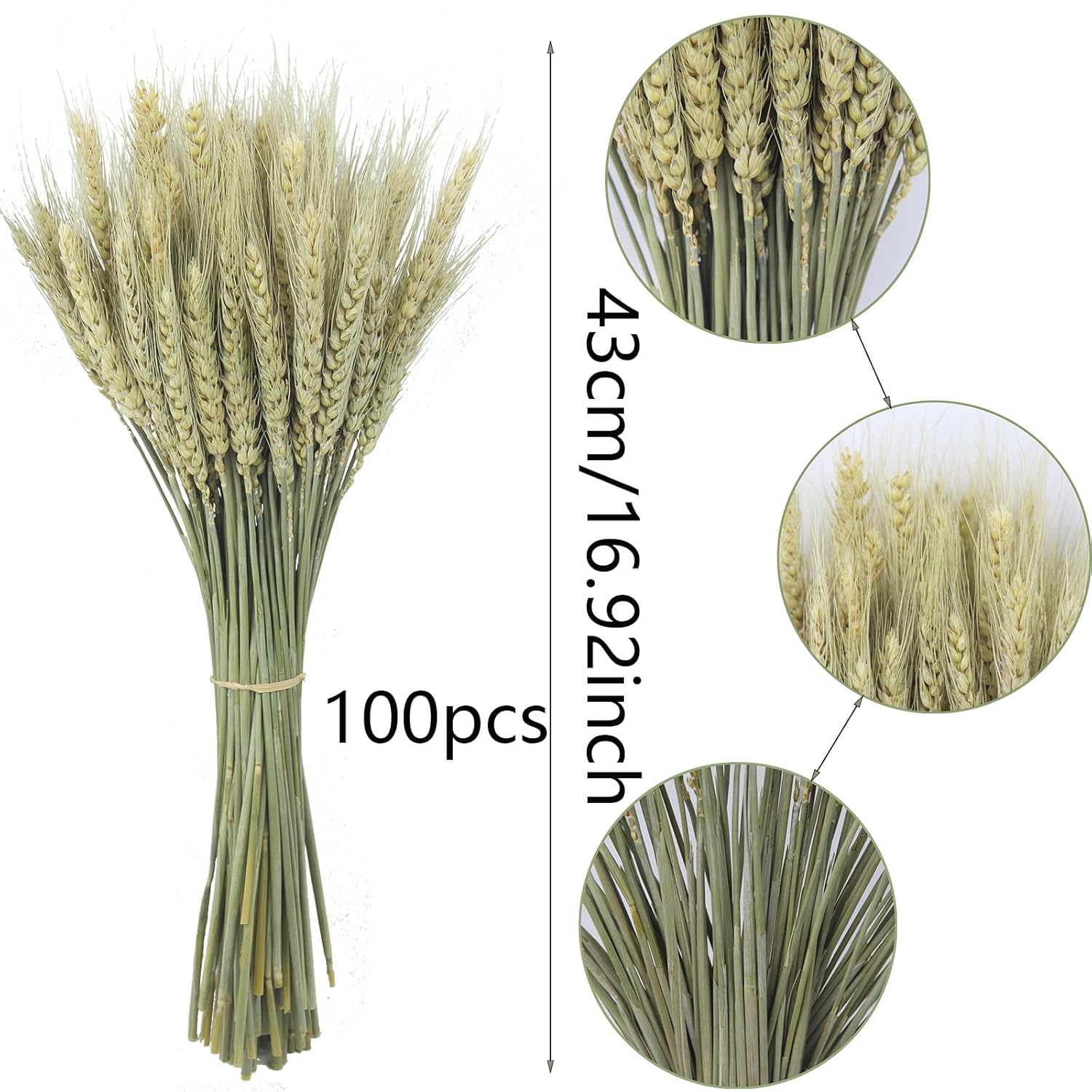 CISDUEO 100 Pcs Natural Dried Wheat Stalks Bundle 1