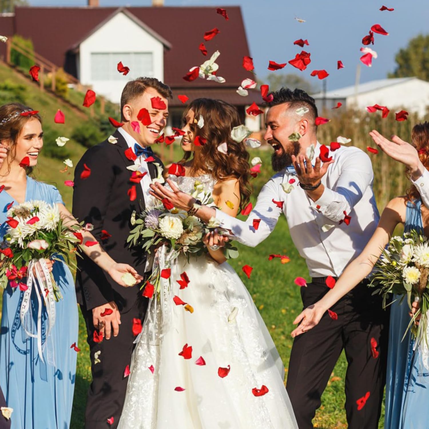 240PCS Real Red Rose Petals Confetti for Weddings and Celebrations