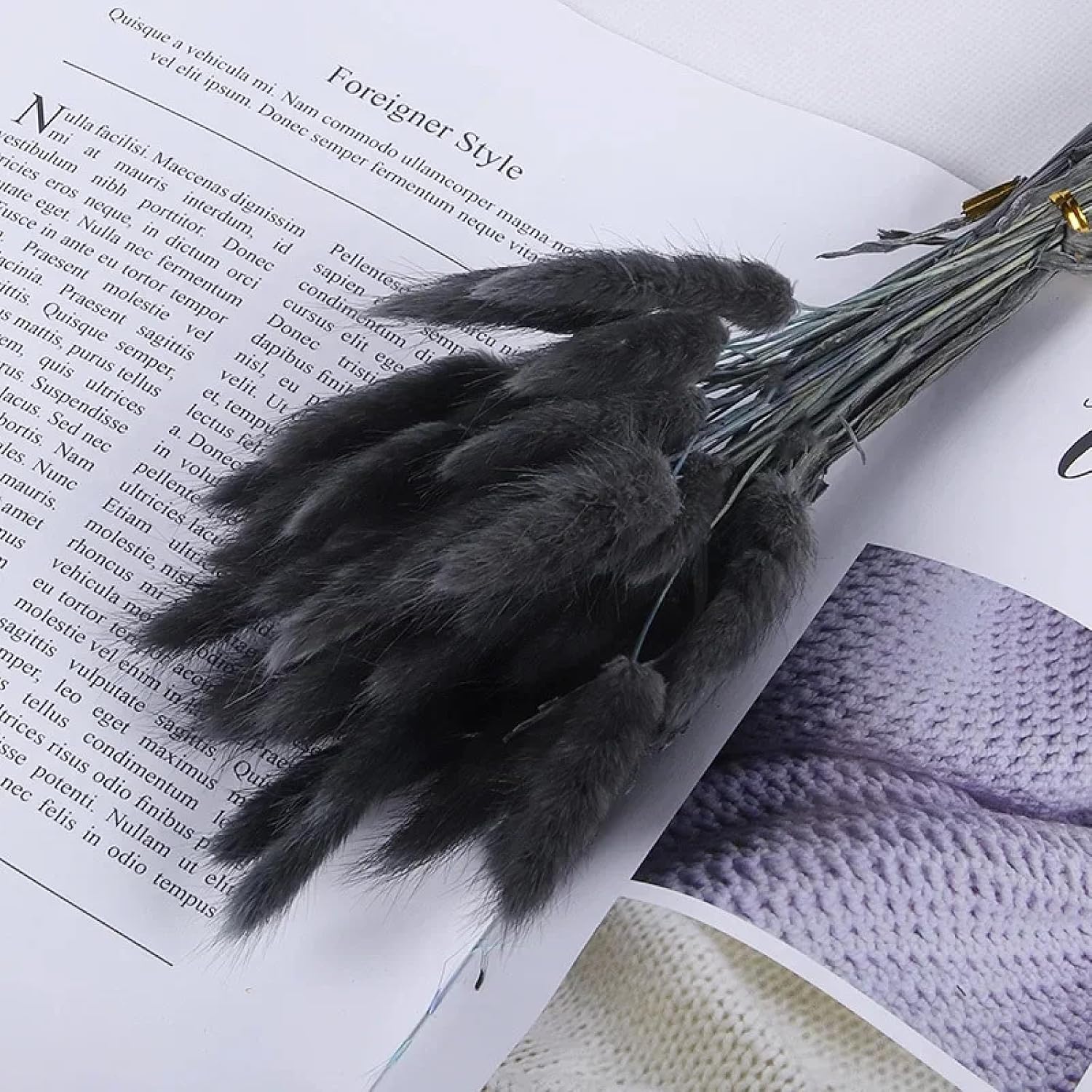 Dried Bunny Tail Flowers 100Pcs Real Natural Boho Decor
