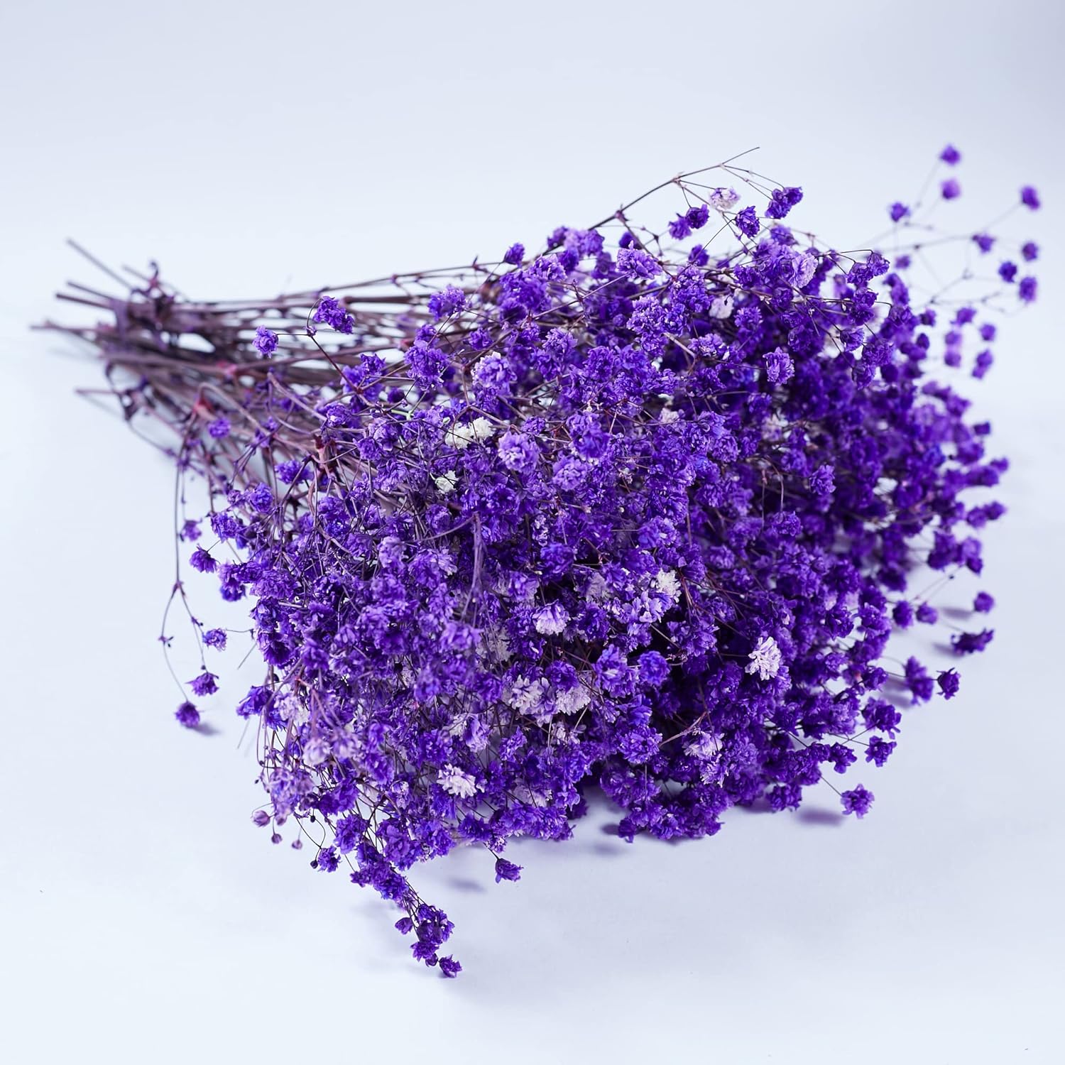 Preserved Babys Breath Flowers 3 Bunches Purple