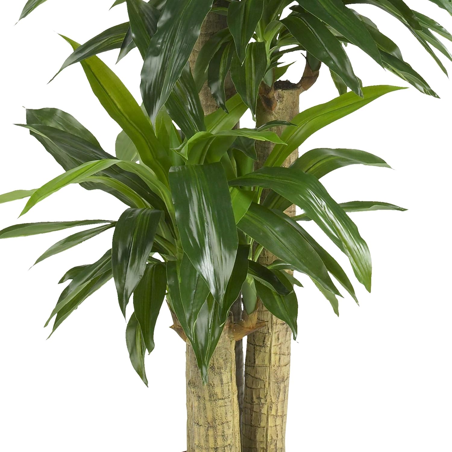 Nearly Natural 62 Inch Artificial Corn Stalk Dracaena Plant