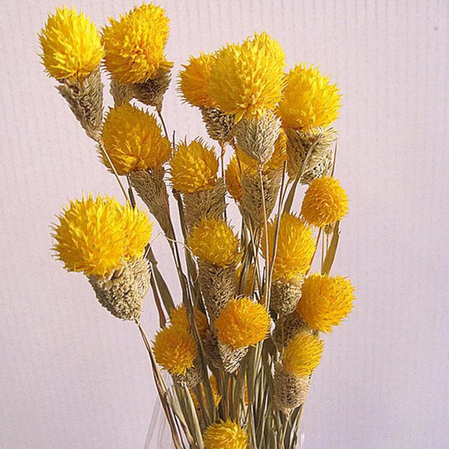 OXCOWNIU Flowers Natural Dried Berries Wedding Bouquet Home Decor