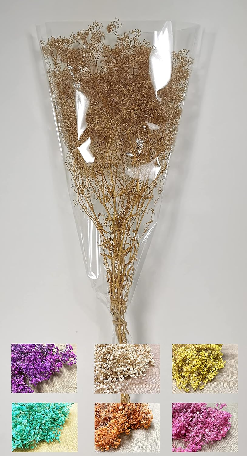 CalCastle Craft Dried Flower Babys Breath Bouquet 27 Inch 2oz Bundle