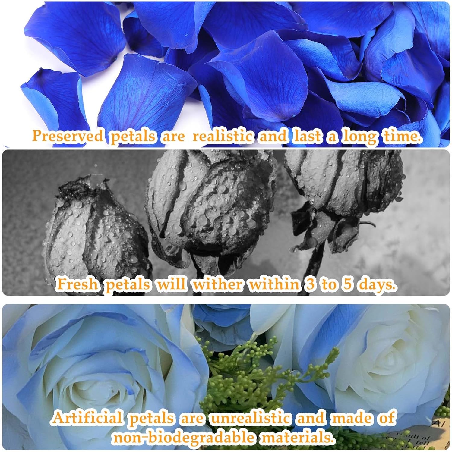 Tavkite Dried Blue Rose Petals for Wedding Decor