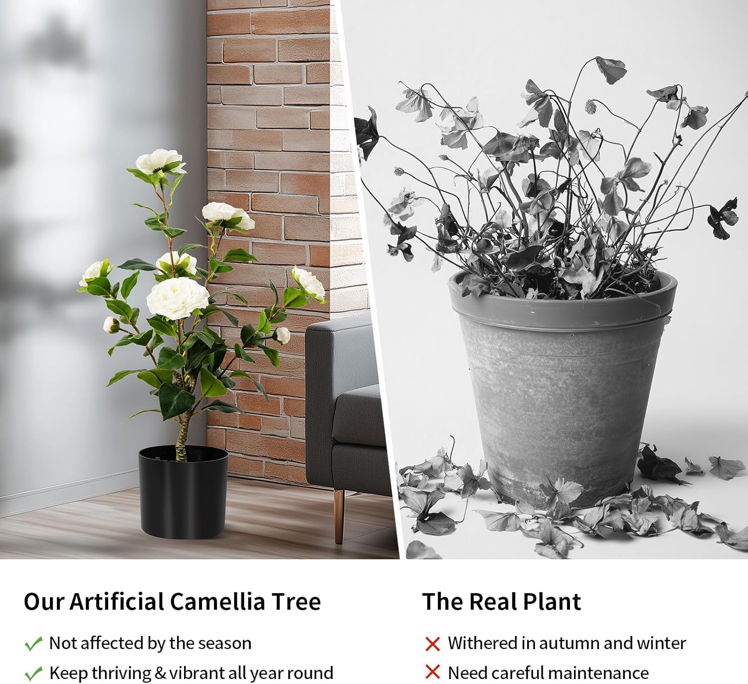 Artificial Camellia Tree 2 Pack White 2FT Cement Pot Decor