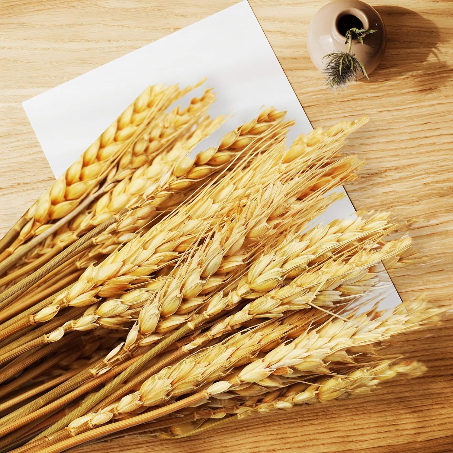 Uieke 177 Inch Dried Wheat Stalks for Fall Decor