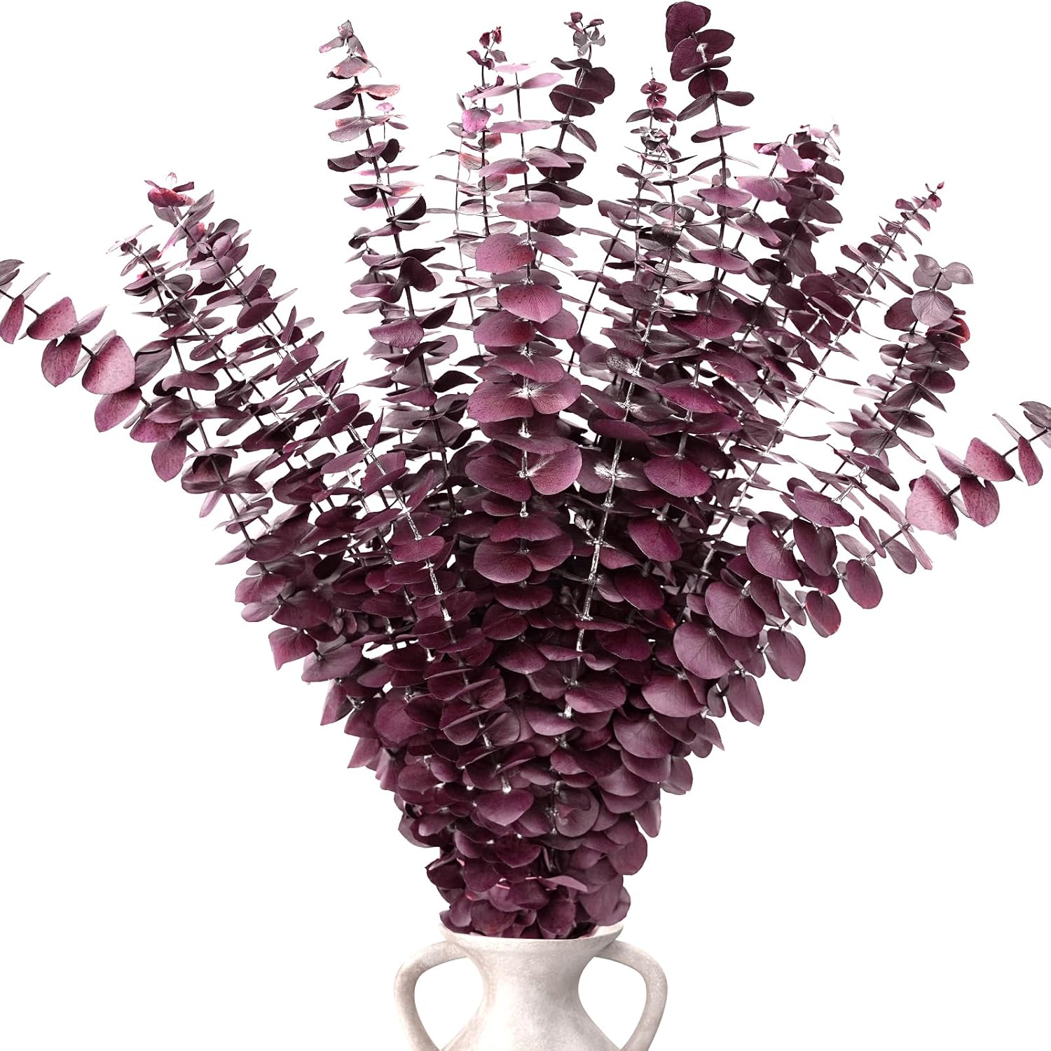 Kocat 20PCS Burgundy Eucalyptus Stems - Dried Preserved Real