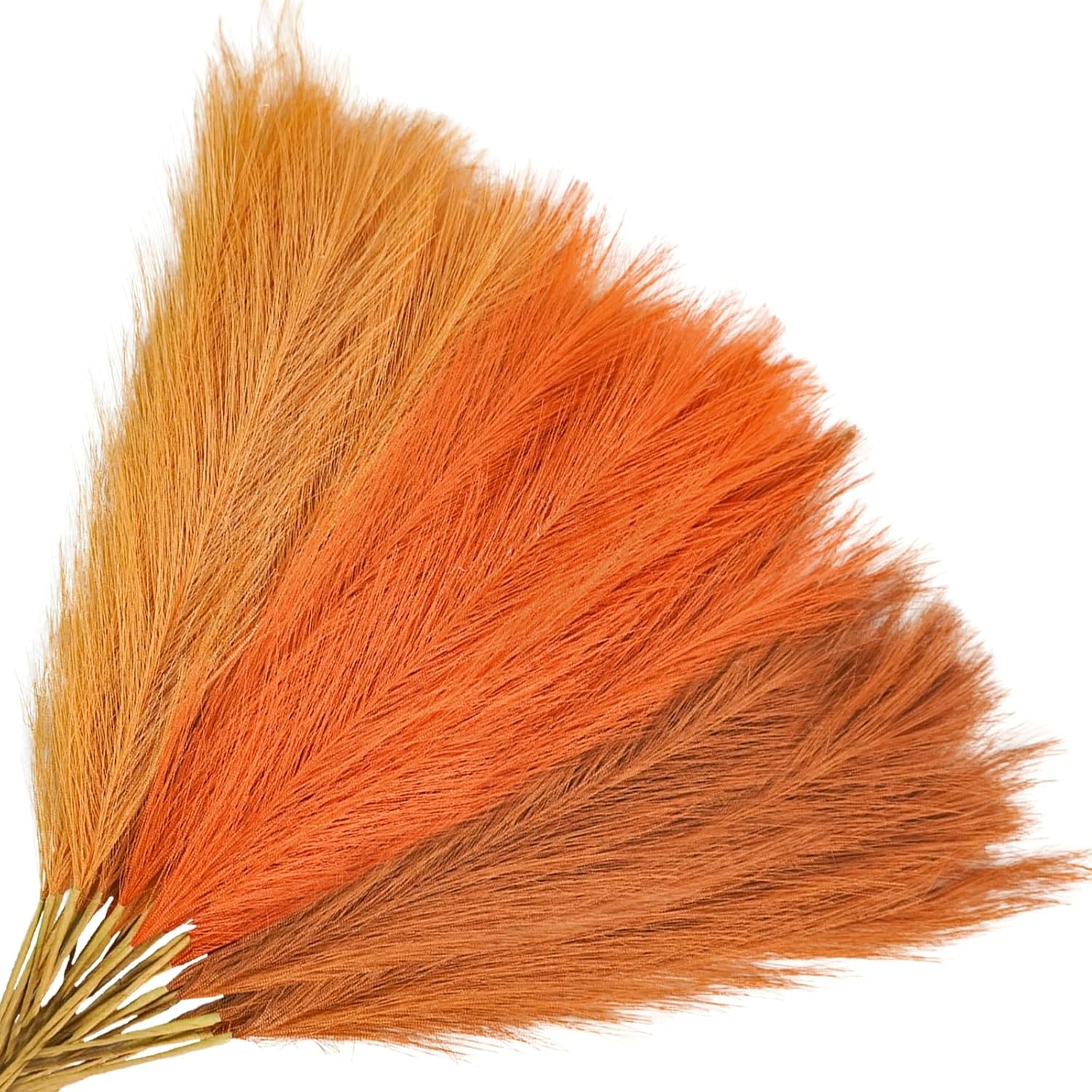 Agusbagli 30pcs Orange Pampas Grass Vase Filler