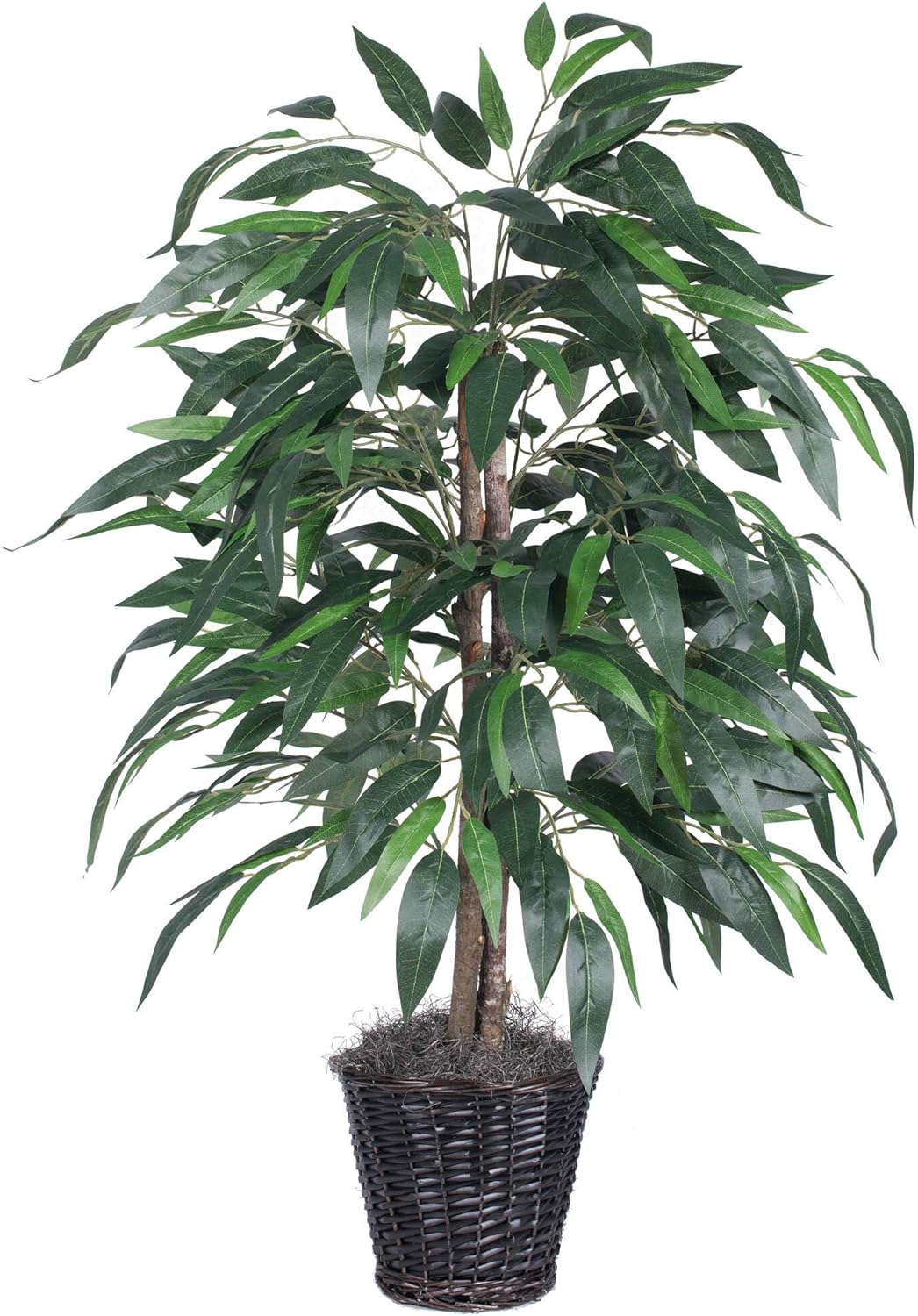 Vickerman 4 Foot Indoor Artificial Mango Bush with Rattan Container